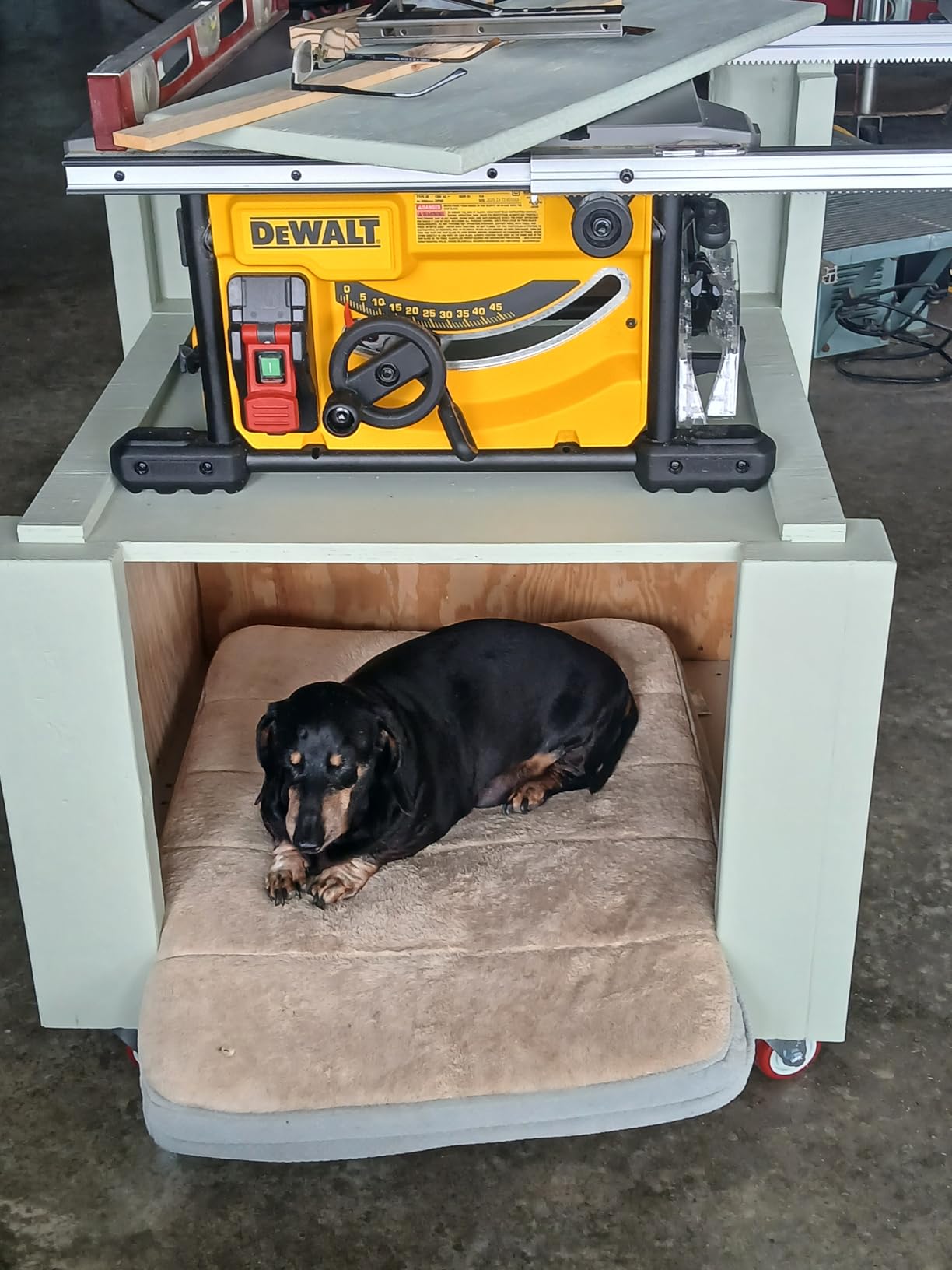 DEWALT Portable Table Saw with Stand, 8-1/4 inch, up to 48-Degree Angle Cuts (DWE7485WS) customer photo 1