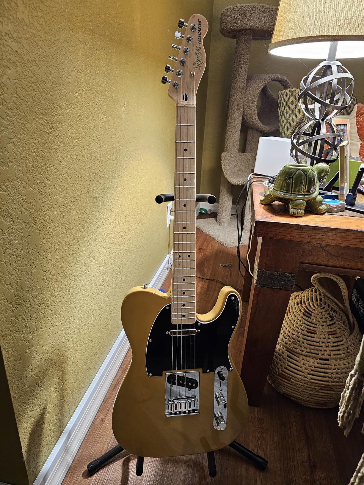 Squier Affinity Series Telecaster Electric Guitar, with 2-Year Warranty, Butterscotch Blonde, Maple Fingerboard customer photo 5