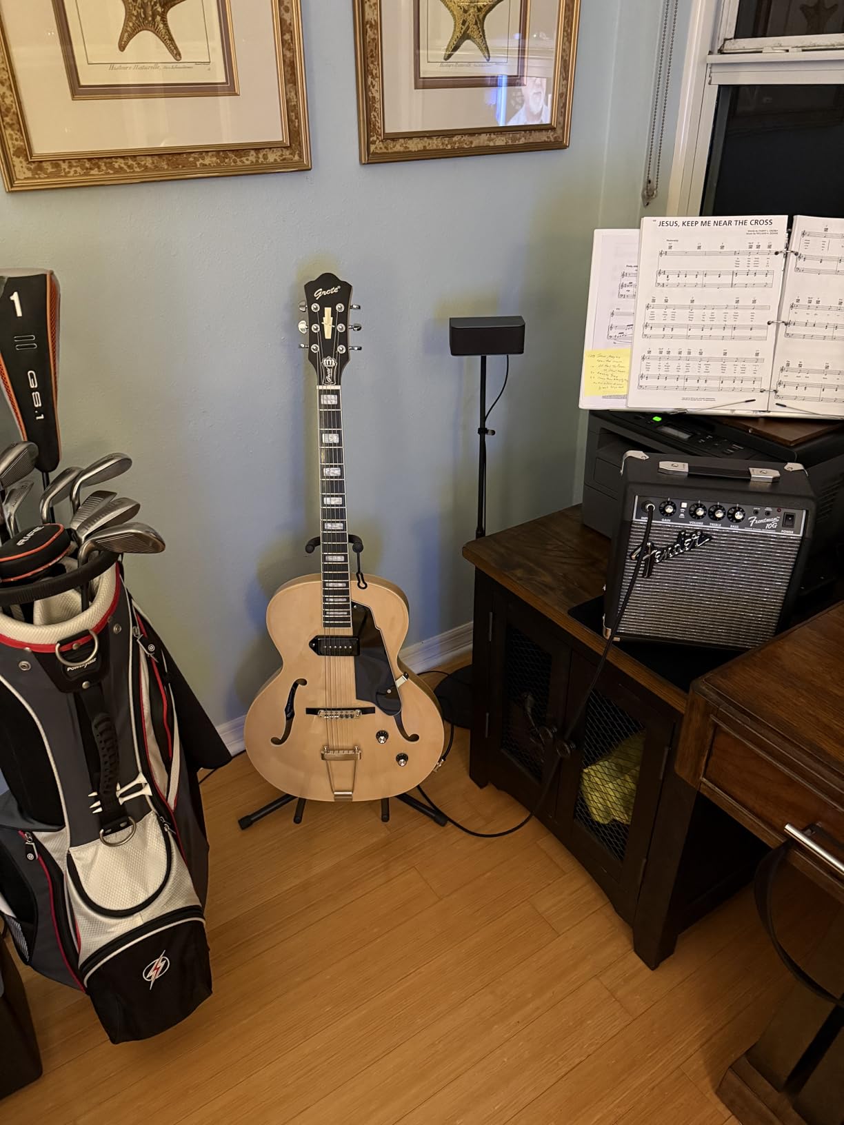 GROTE Jazz Electric Guitar Hollow Body Chrome Hardware P90 Pickup (Vintage Sunburst) customer photo 1