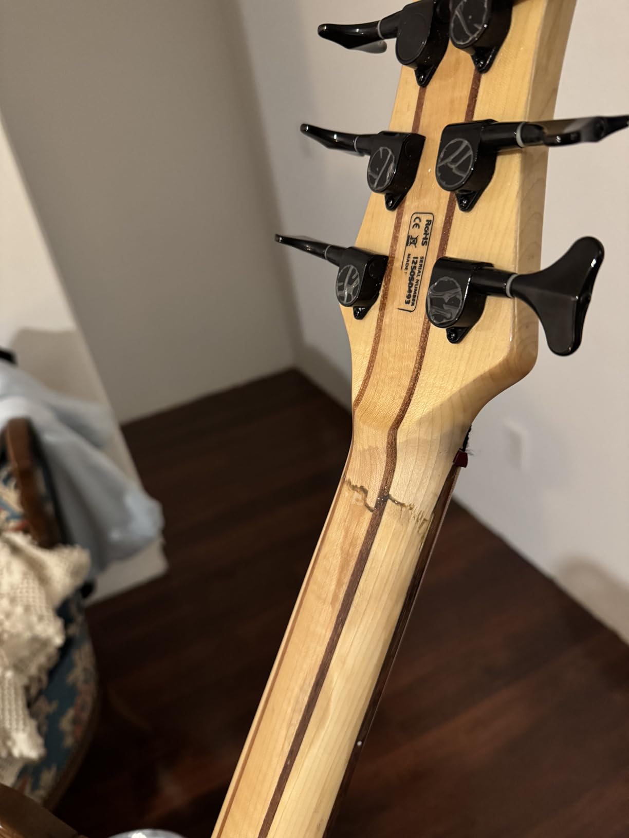 IYV IBSY-600 Neck-through Sycamore top Multi-ply 6-string Bass customer photo 1