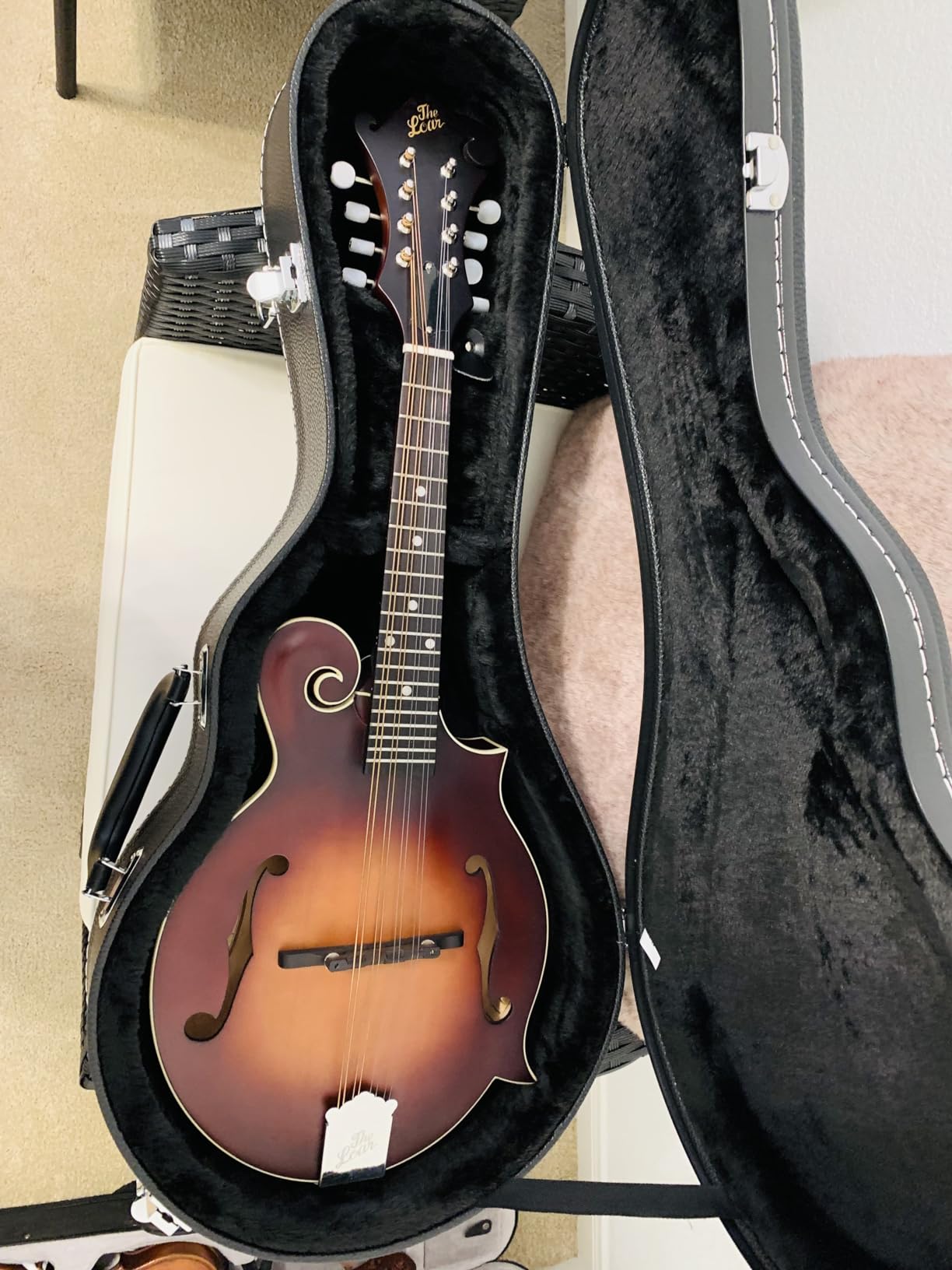 Ktaxon A-Style Mandolin Hard Case, Deluxe Leather Hard-Shell Carrying Case, Wooden Protective Case with Plush Interior customer photo 1