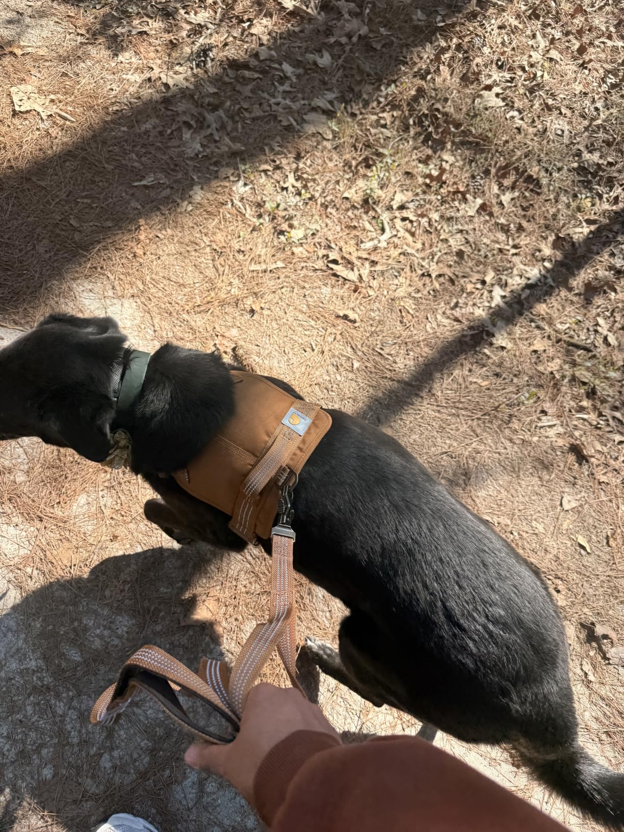 Carhartt Nylon Duck No Pull Dog Harness, Fully Adjustable Dog Harness with Quick Control Handle and Reflective Accents, Carhartt Brown, Large customer photo 1