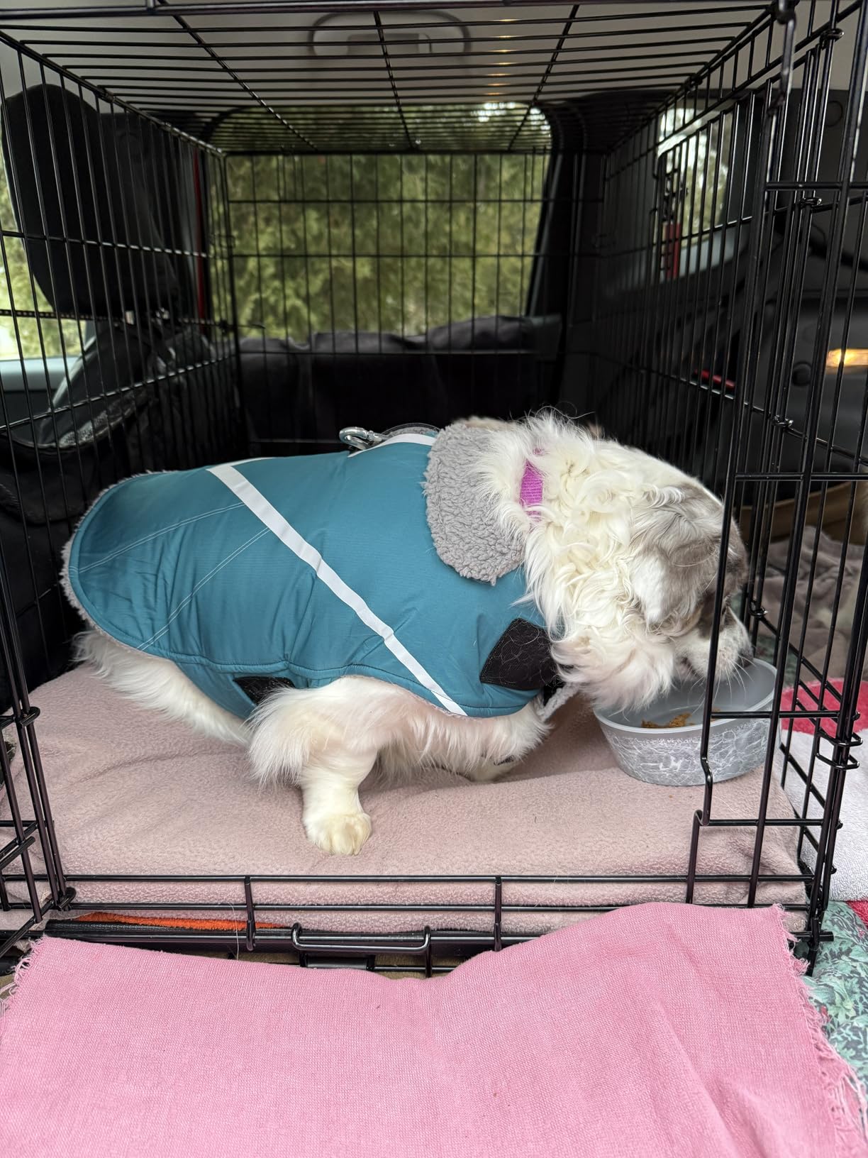 VIVAGLORY Snowrap Dog Coat, Jacket with Harness Hole, Dog Coat for Winter & Cold Weather, Fluffy Warm Fleece Lined Reflective Water Resistant for Puppy, S, Grey customer photo 1