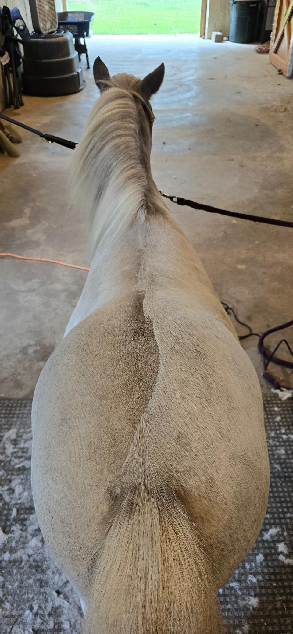 Andis 23330 Professional AGC Super 2-Speed Horse Clipper with Detachable Blade - Cool & Quiet Running Design - Includes Ultra Edge Size T-84 Blade for Complete Horse Grooming - Burgundy customer photo 2