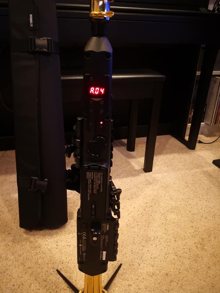 Yamaha Soprano Saxophone (YDS-120) customer photo 1
