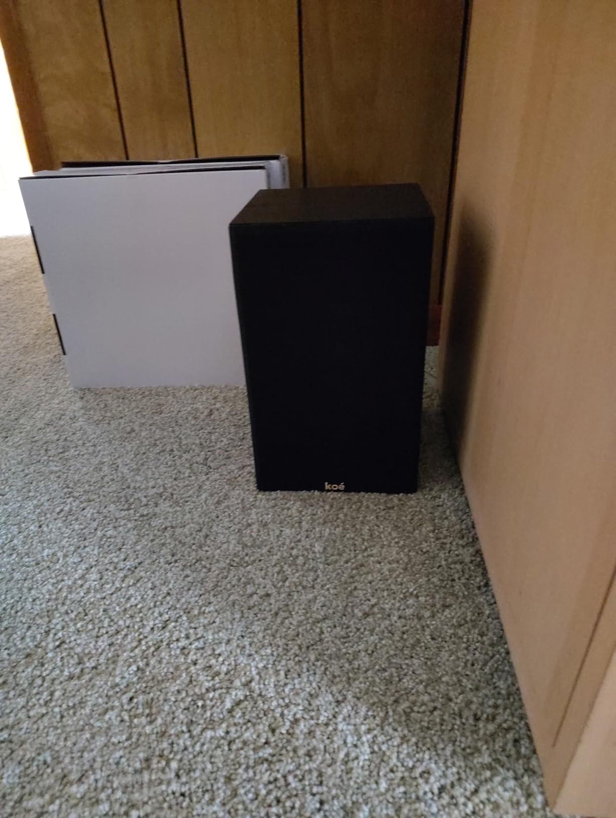 Audio Express Koe' B102 - 100 Watt Home Theater, Passive Bookshelf Speakers (Pair) Hi-Res Audio, Excellent Response, HiFi, Satellites, Includes SPL/Freq Graph, Wall-Mountable, Black customer photo 2