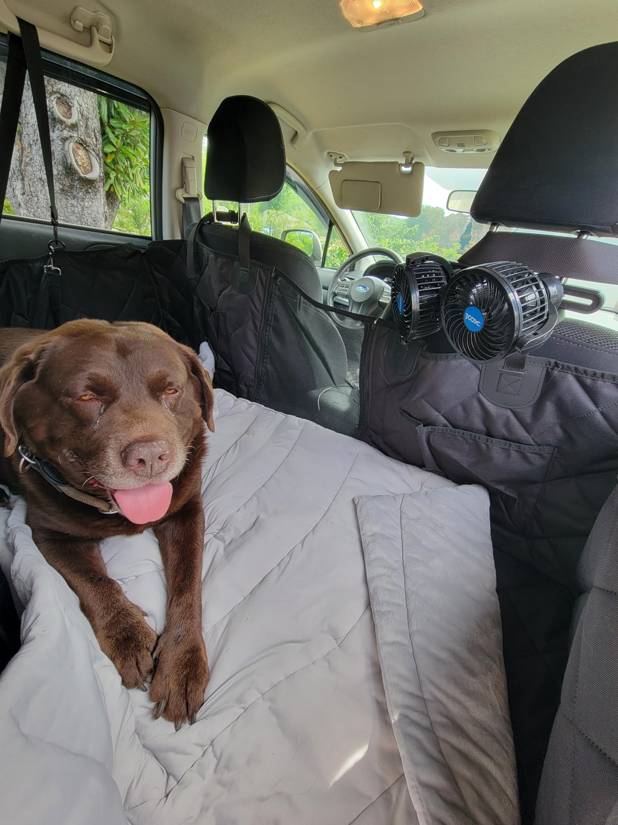 Back Seat Extender for Dogs-Large Space, Dog Car Seat Cover Hard Bottom Holds 420lbs, Sturdy Backseat Extender for Dogs, Upgraded Waterproof Pet Car Bed Dog Hammock for Car, SUV, Truck, Black customer photo 1