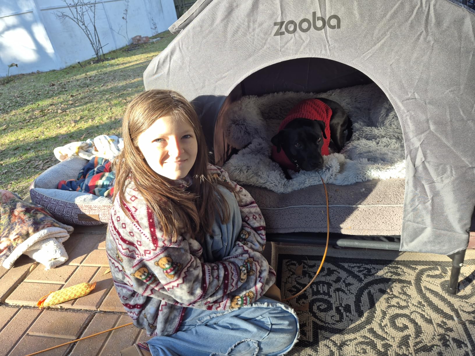 Zooba 42