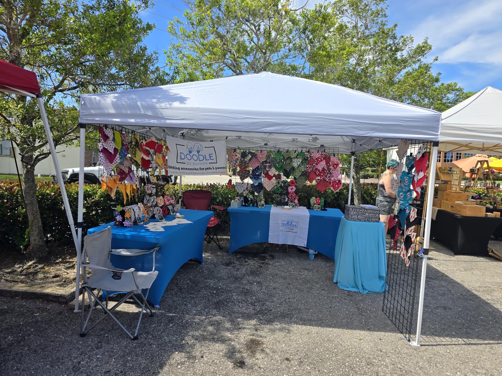 Nazhura 10' x 10' Pop Up Canopy Tent with Sand Weight Bag, Freestanding Sun Shelter for Picnic and Camping, One Person Setup and Height Adjustable (Blue) customer photo 1