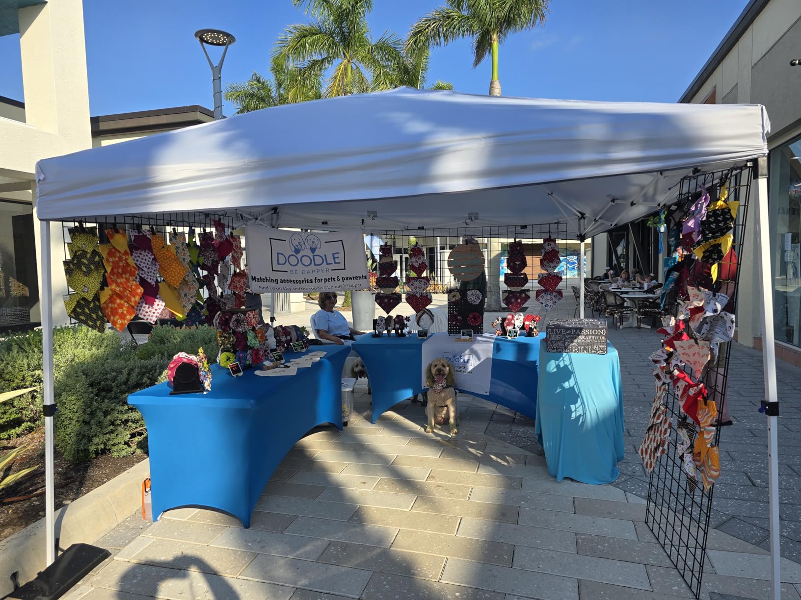 Nazhura 10' x 10' Pop Up Canopy Tent with Sand Weight Bag, Freestanding Sun Shelter for Picnic and Camping, One Person Setup and Height Adjustable (Blue) customer photo 2