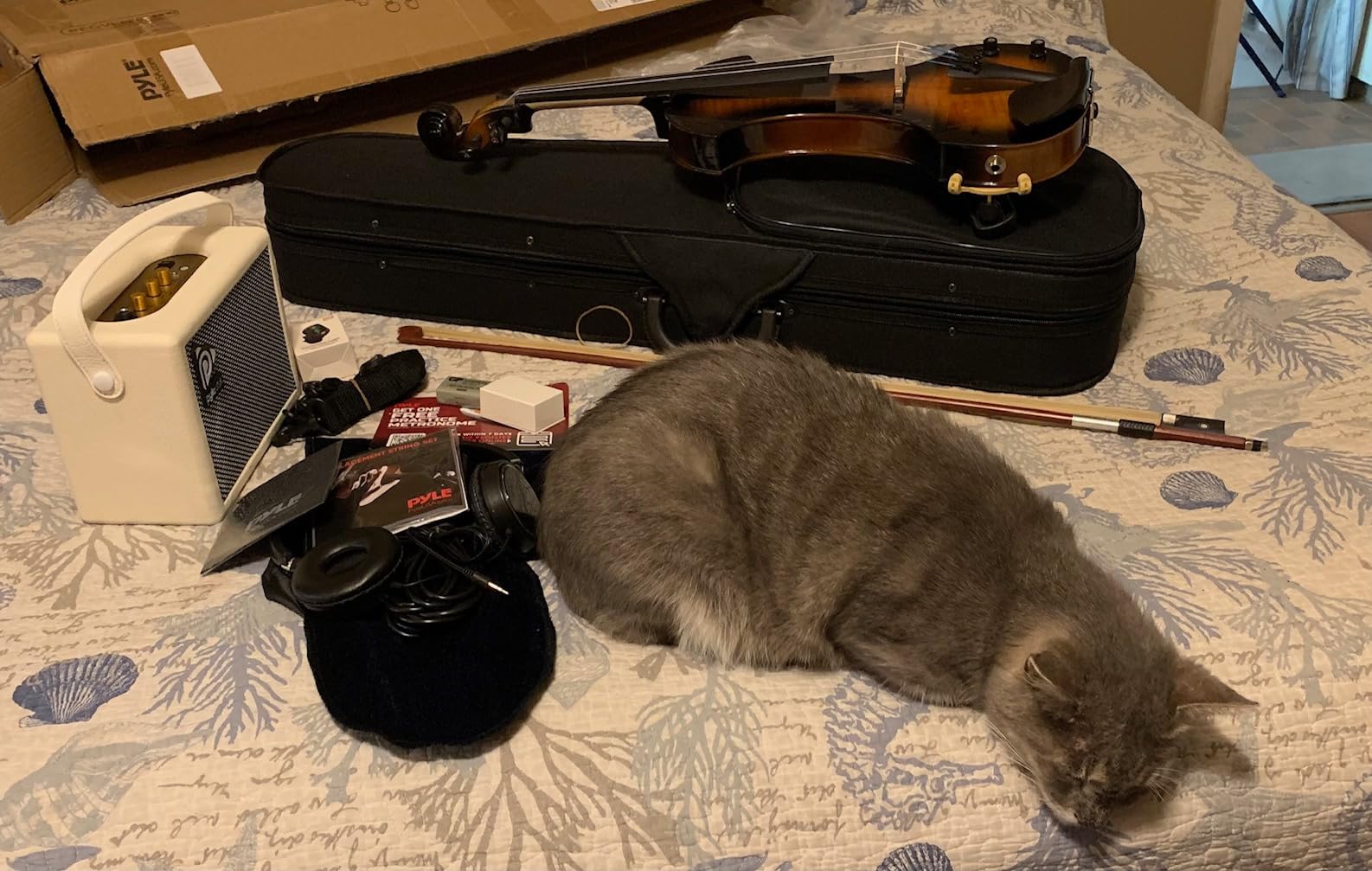 Pyle 4/4 Silent Electric Violin with Amplifier Kit, Solid Wood Fiddle with 10W Amp and Complete Accessories, Full Size Orchestral String Instrument For Beginner & Professional Use customer photo 1