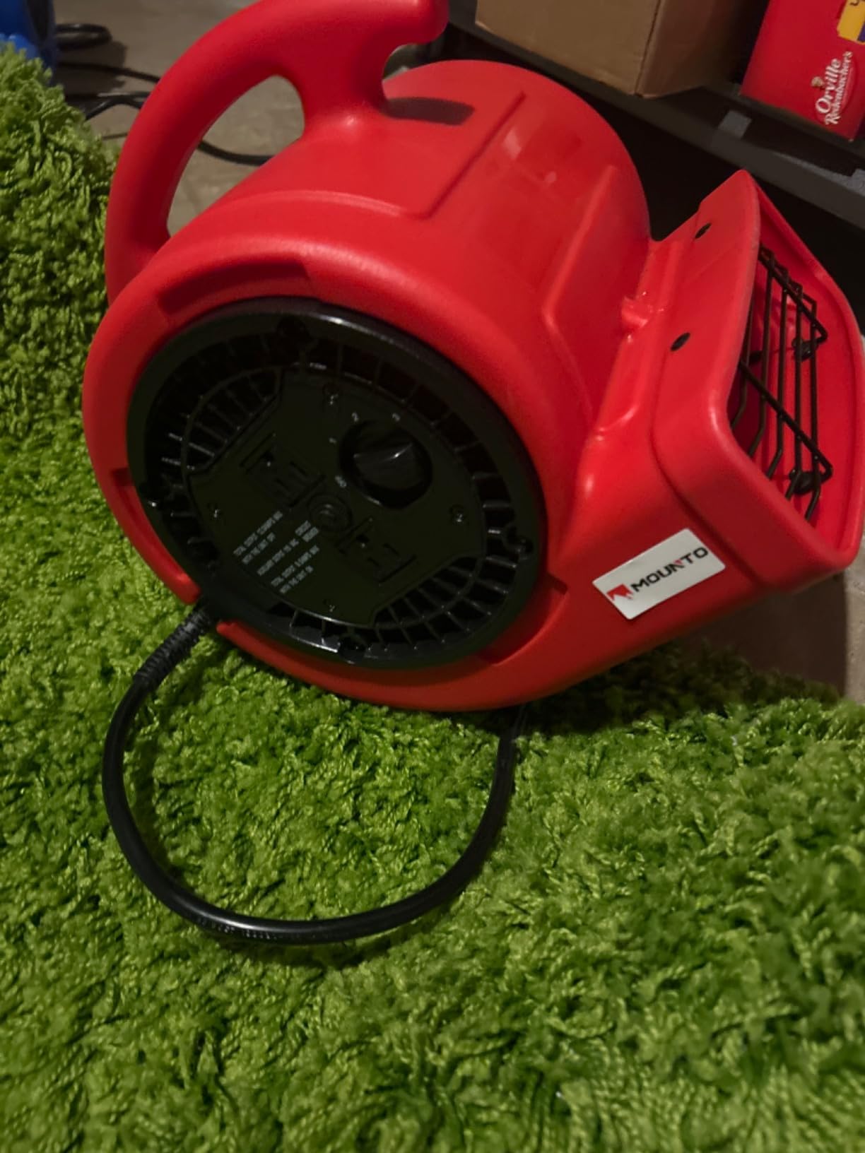 MOUNTO 1/5hp Air Mover 800cfm Blower Fan Carpet Floor Drying Fan - 3-Speed Compact Air Mover w/Dual Outlet, 10ft Power Cord for Drying, Cooling, Air Circulation (Blue) customer photo 1