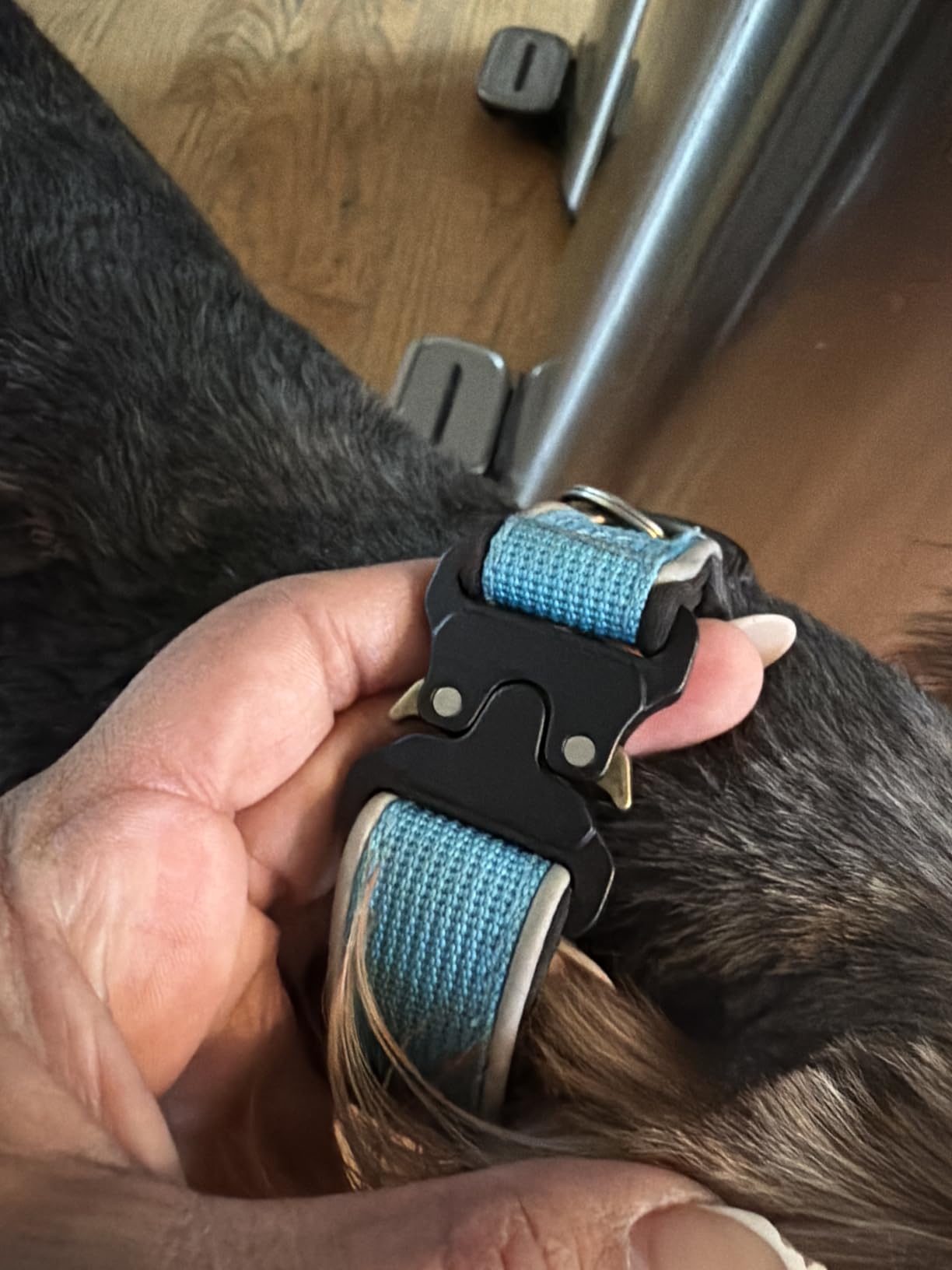 Plutus Pet Tactical Dog Collar, Reflective, Adjustable Heavy Duty Dog Collar, Soft Padded and Comfortable, for Small Medium and Large Dogs (Ranger Green, L) customer photo 1