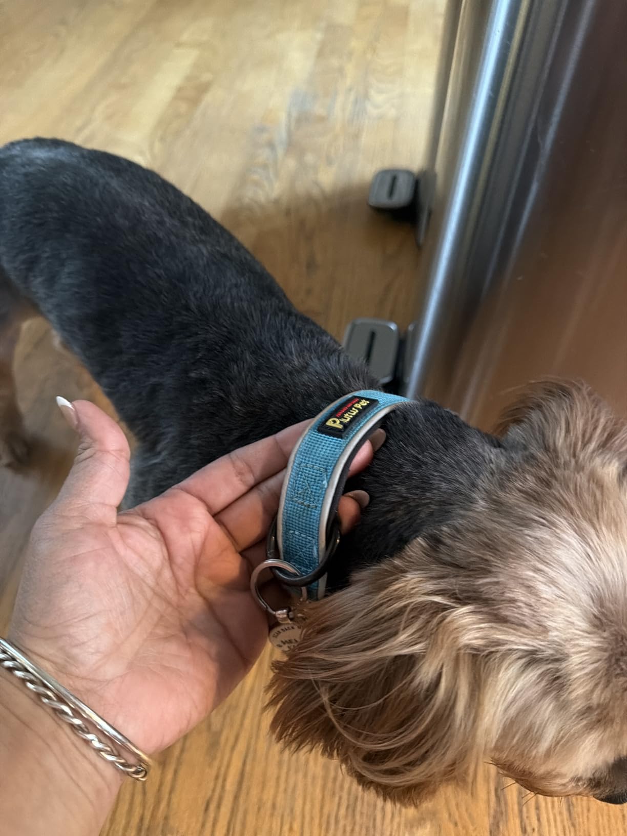 Plutus Pet Tactical Dog Collar, Reflective, Adjustable Heavy Duty Dog Collar, Soft Padded and Comfortable, for Small Medium and Large Dogs (Ranger Green, L) customer photo 2
