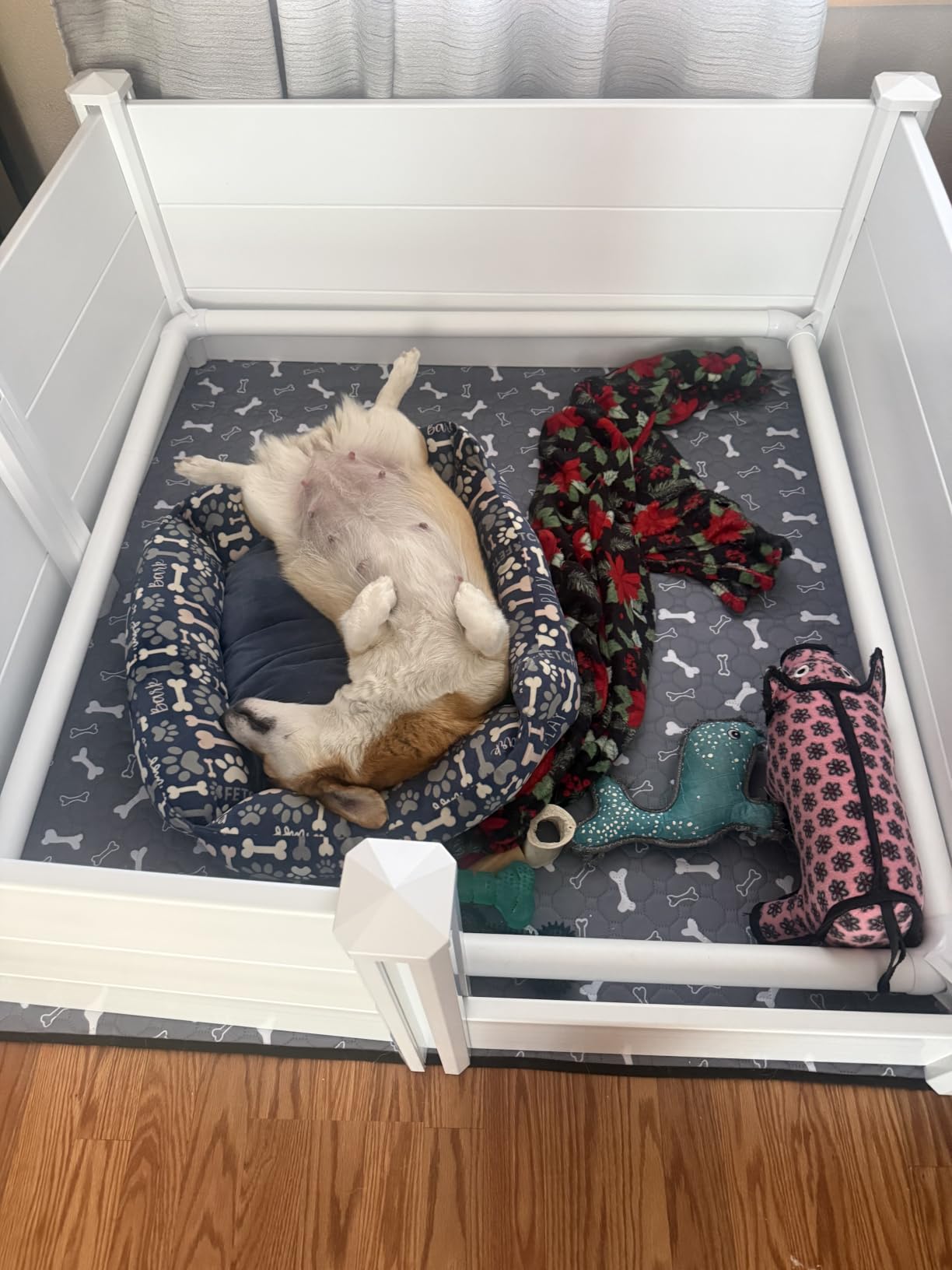 Whelping Box, Whelping Box for Dogs with Washable Puppy Pads, Double Rooms Whelping Pen for Large Breed Dogs, Indoor Whelping Kit for Puppies Birth, White, 96