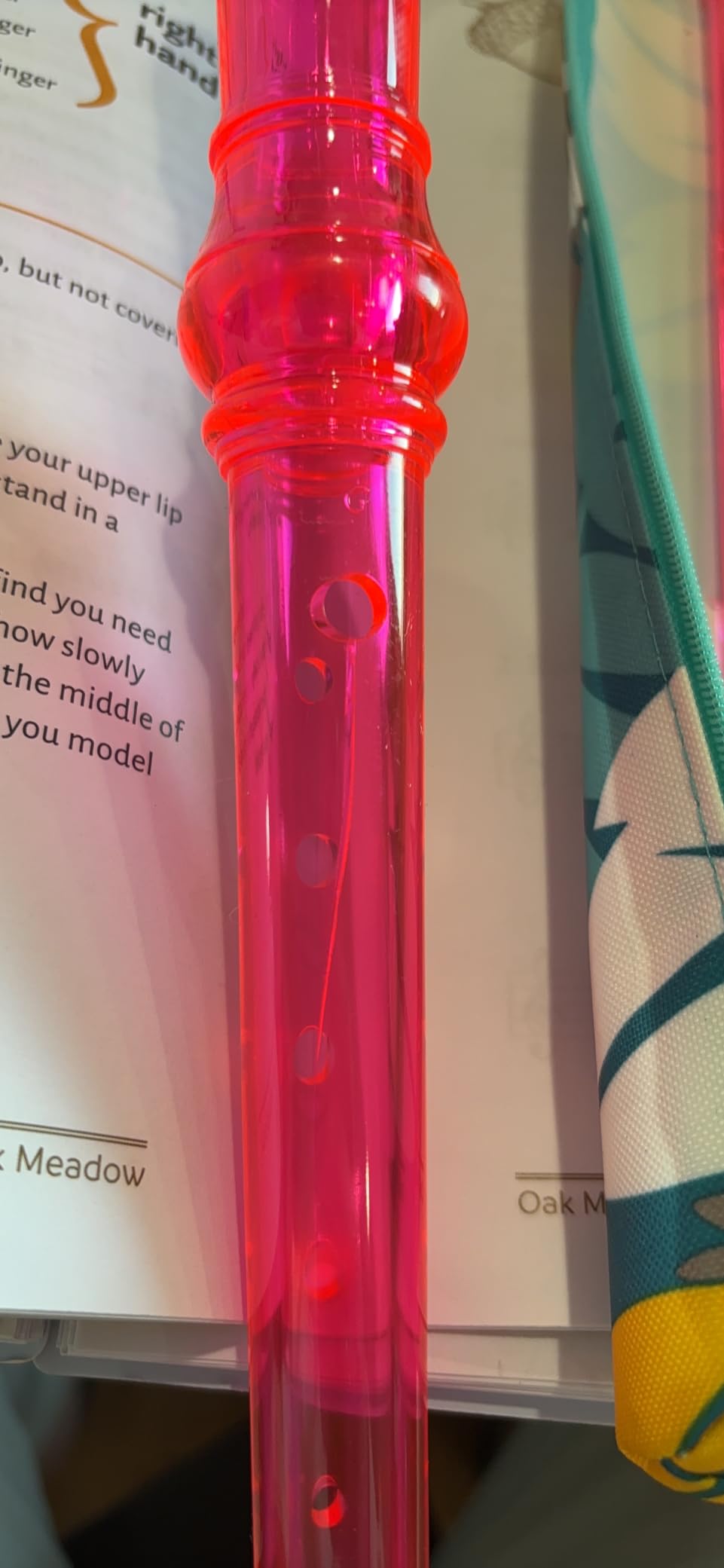 Soprano Recorder for Kids Beginners, German Fingering, C Key, 3 Piece with Cleaning Rod, Bag, Fingering Chart (Pink) customer photo 2