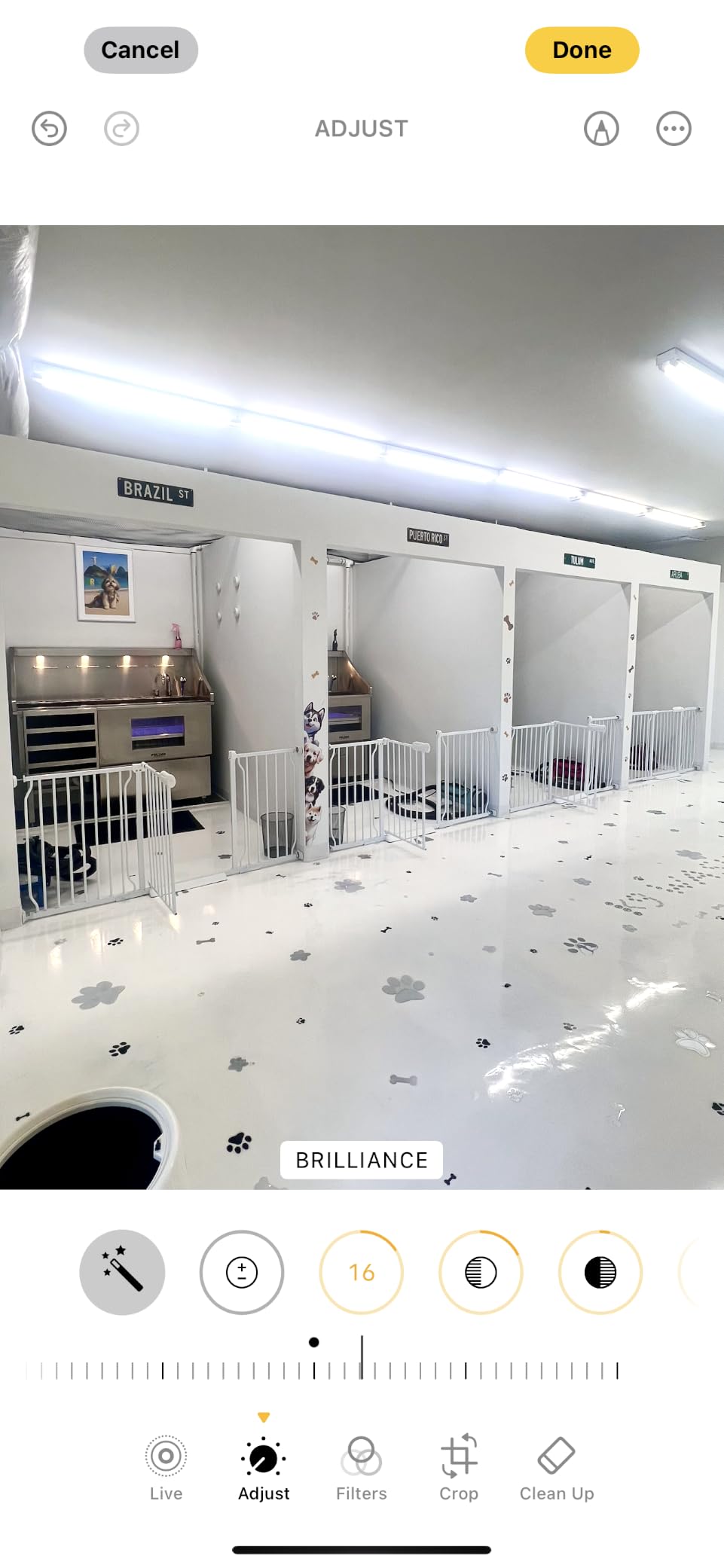 POLIMO Dog Washing Station with LED Display 50