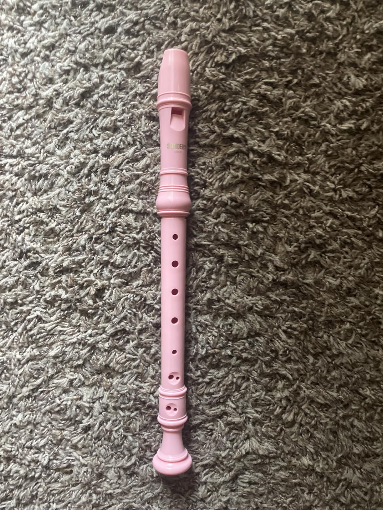 Sondery Soprano Recorder Instrument German Fingering Durable Beginner's Recorder Easy-to-Play Plastic Body Includes Fingering Chart Carry Pouch customer photo 1