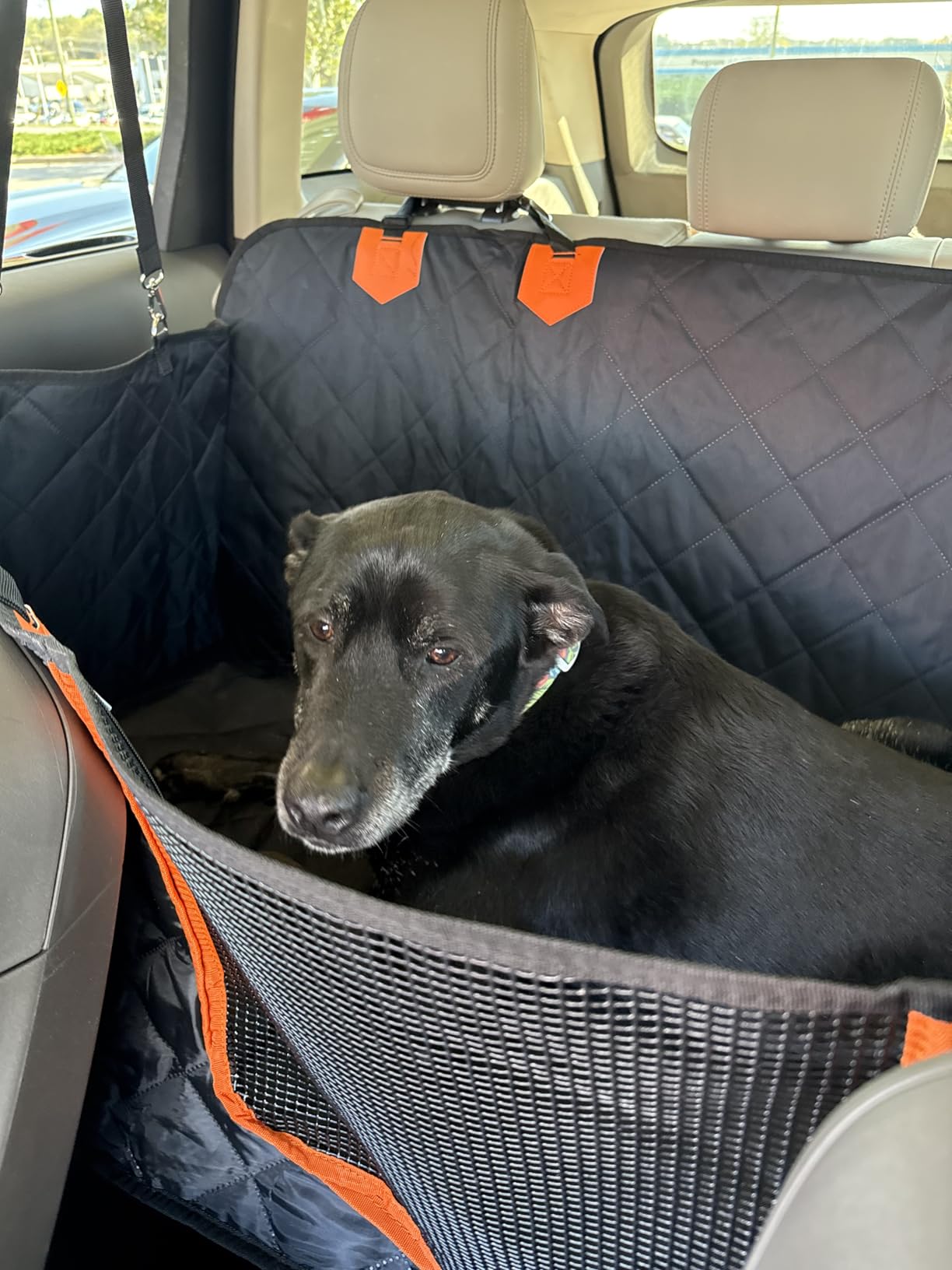 IJVAE Dog Seat Cover for Back Seat, Hard Bottom Back Seat Extender Holds 500 lbs, Waterproof & Nonslip Car Hammock for Large Pets, Comfortable Travel Seat Protector for SUV and Sedan customer photo 1