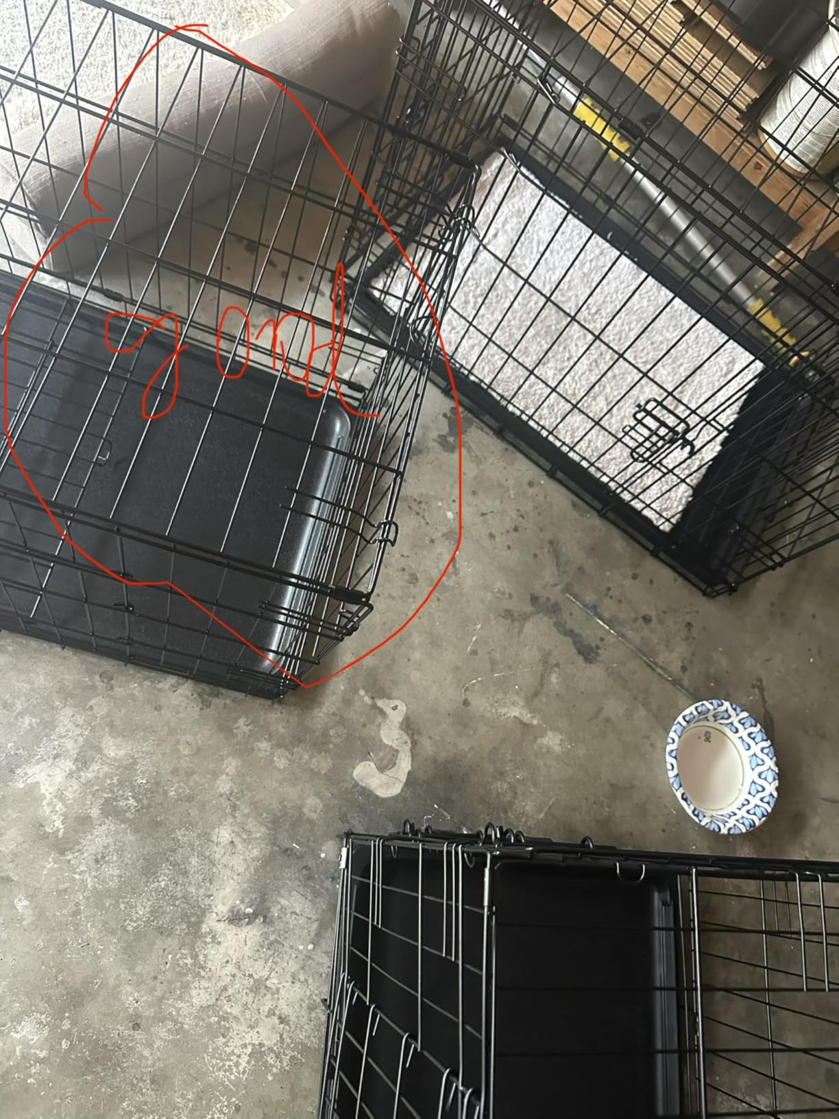 FDW Extra Large Dog Crate Dog Kennel Cage with Double Door, 48 inch Folding Metal Wire Dog Cage with Removable Tray&Divider Panel,Pet Crate for Large Dogs,Black customer photo 1