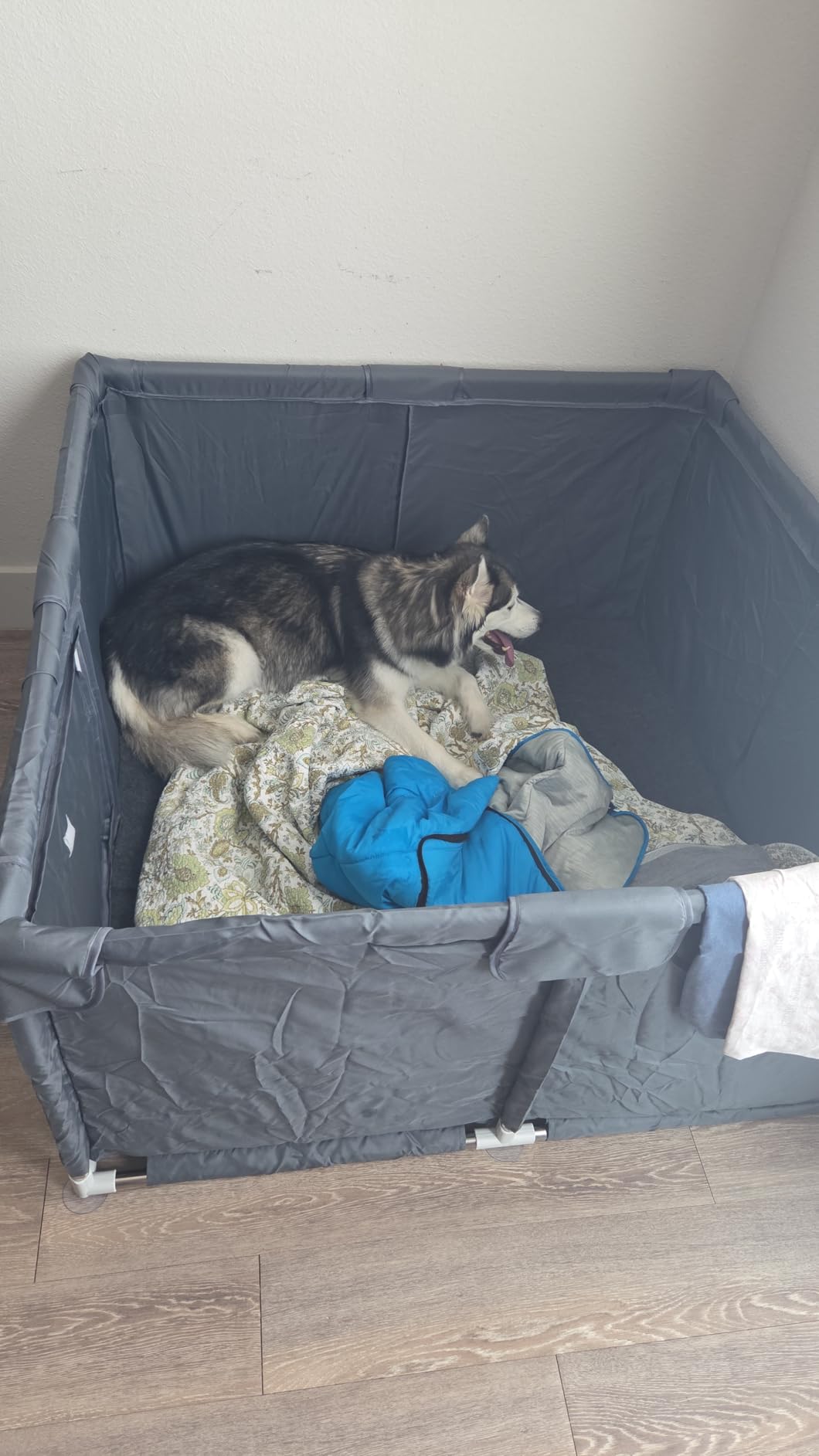 Pawtenda Whelping Box for Dogs and Puppies 47