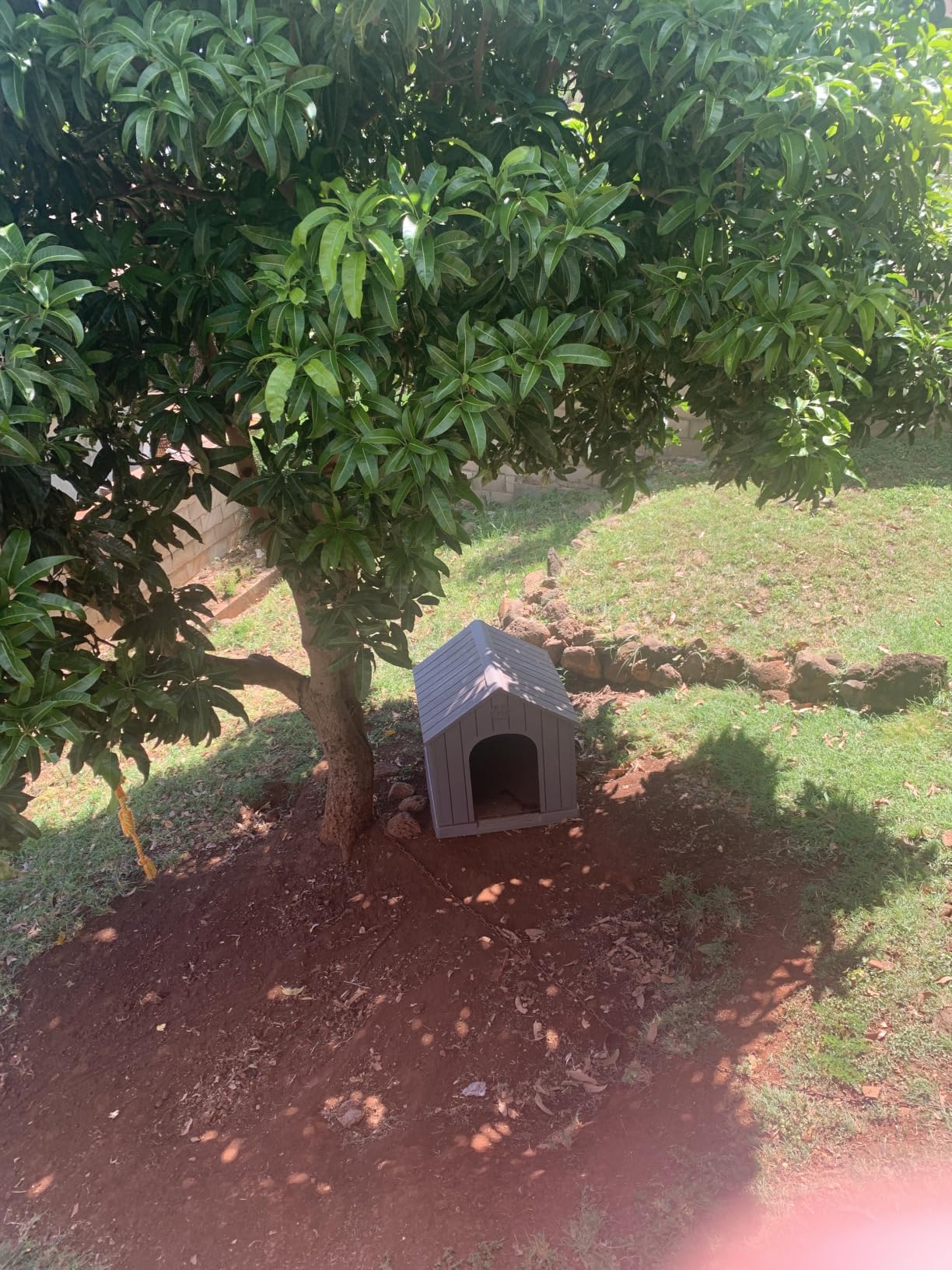 Fancyango Large Dog House Outdoor Indoor for Medium Large Dogs, Sturdy Plastic Waterproof Doghouse with Air Vents and Elevated Floor, Easy Clean and Assemble (Grey, 36.2''L x 38''W x 38''H) customer photo 1