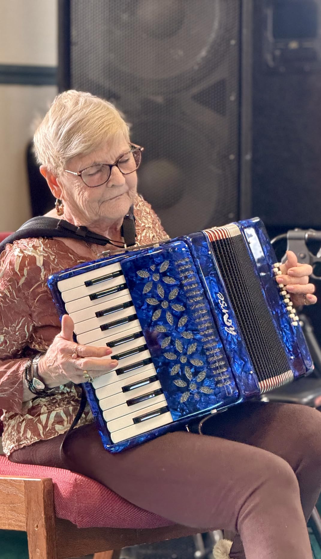 25 Keys Accordion, 16 Bass Piano Accordion Acordeón Acordeones Para Adultos for Beginner and Adults, Lightweight Portable with Adjustable Straps, Cleaning Cloth, Glove, and Carrying Bag(Black) customer photo 1