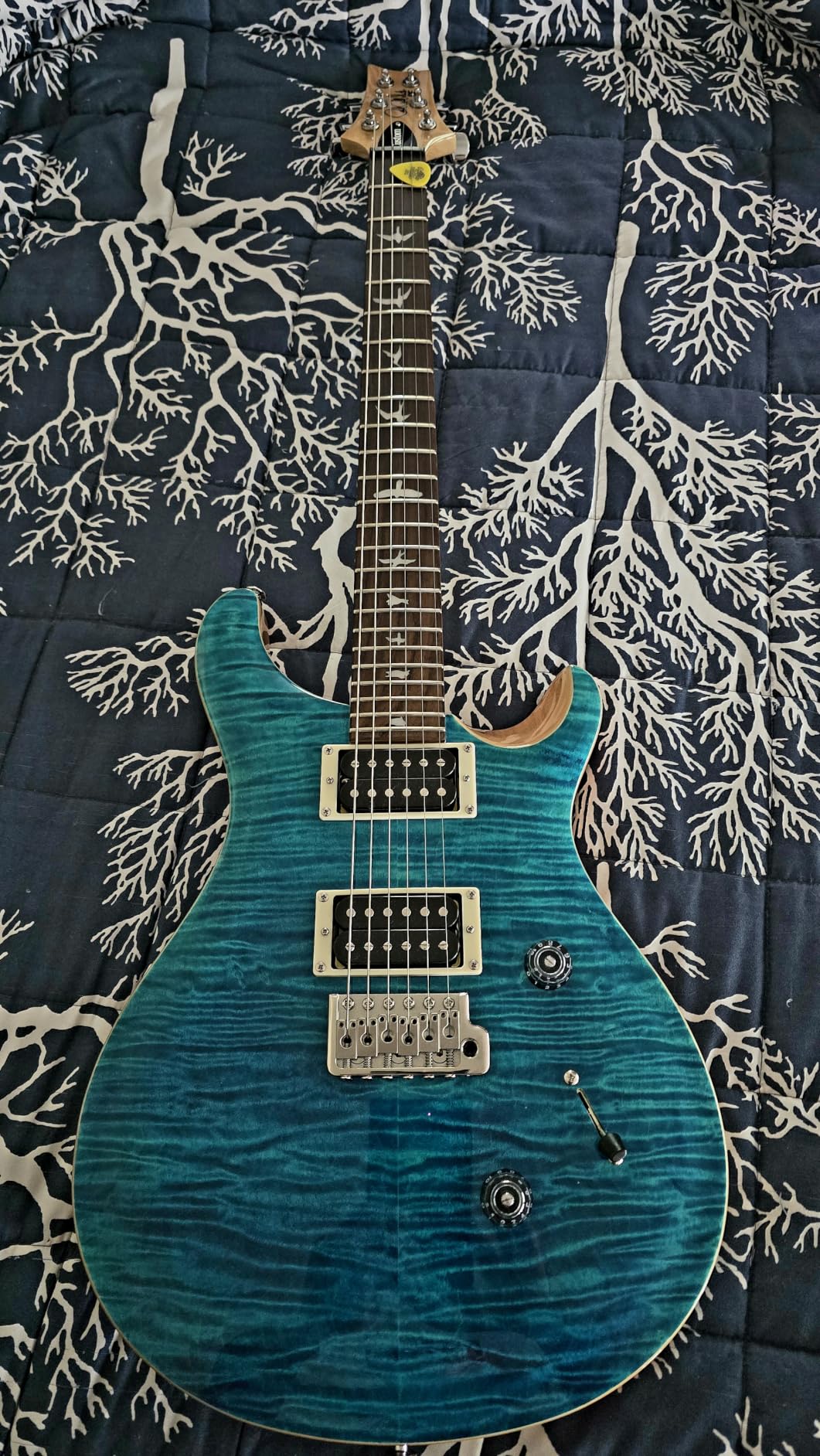 PRS SE Custom 24 Exclusive, Orange Tiger Smokeburst customer photo 2