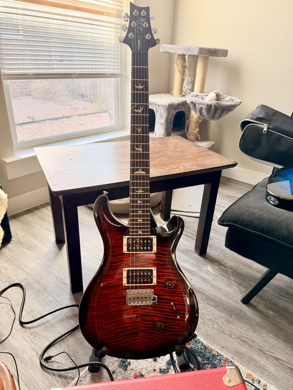 PRS SE Custom 24 Exclusive, Lake Blue with Gigbag customer photo 1