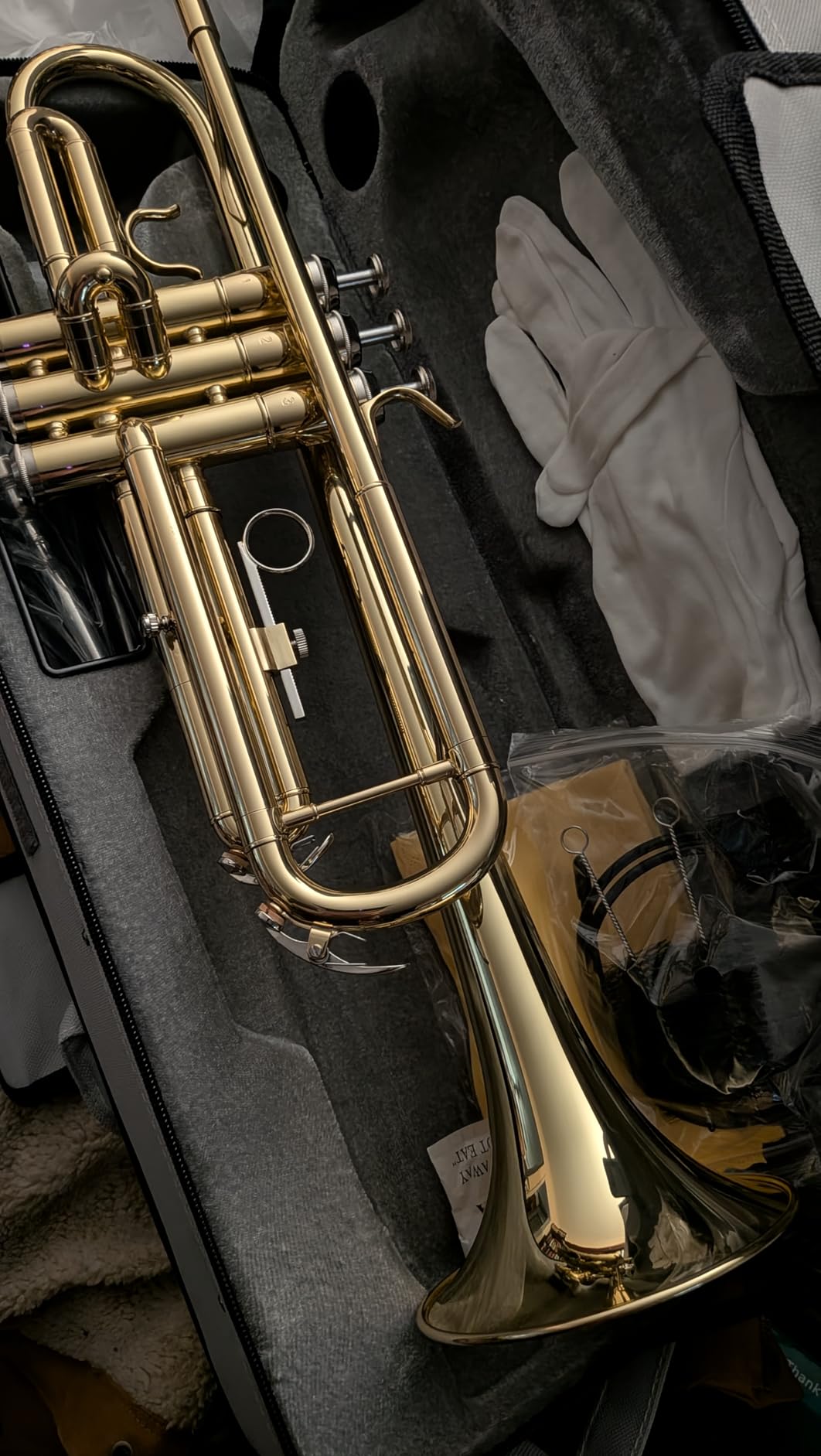 STRICH Bb Standard Trumpet Set for Beginners, Brass Student Trumpet Instrument with Hard Case, Cleaning Kit, 7C & 3C Mouthpieces, Gloves - STR-1G, Gold customer photo 1