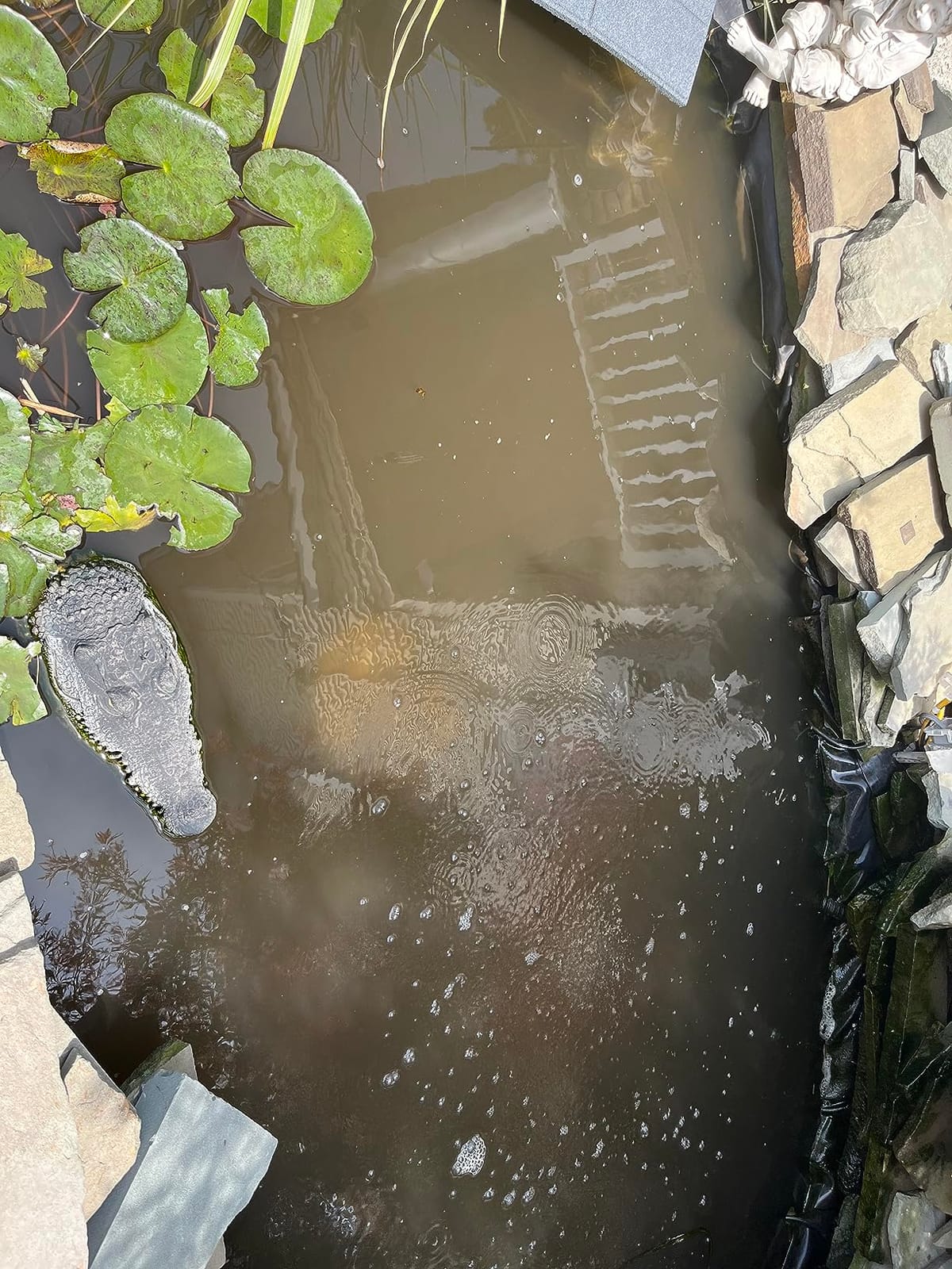 Danner Manufacturing Pondmaster 1000 Garden Pond Filter customer photo 1