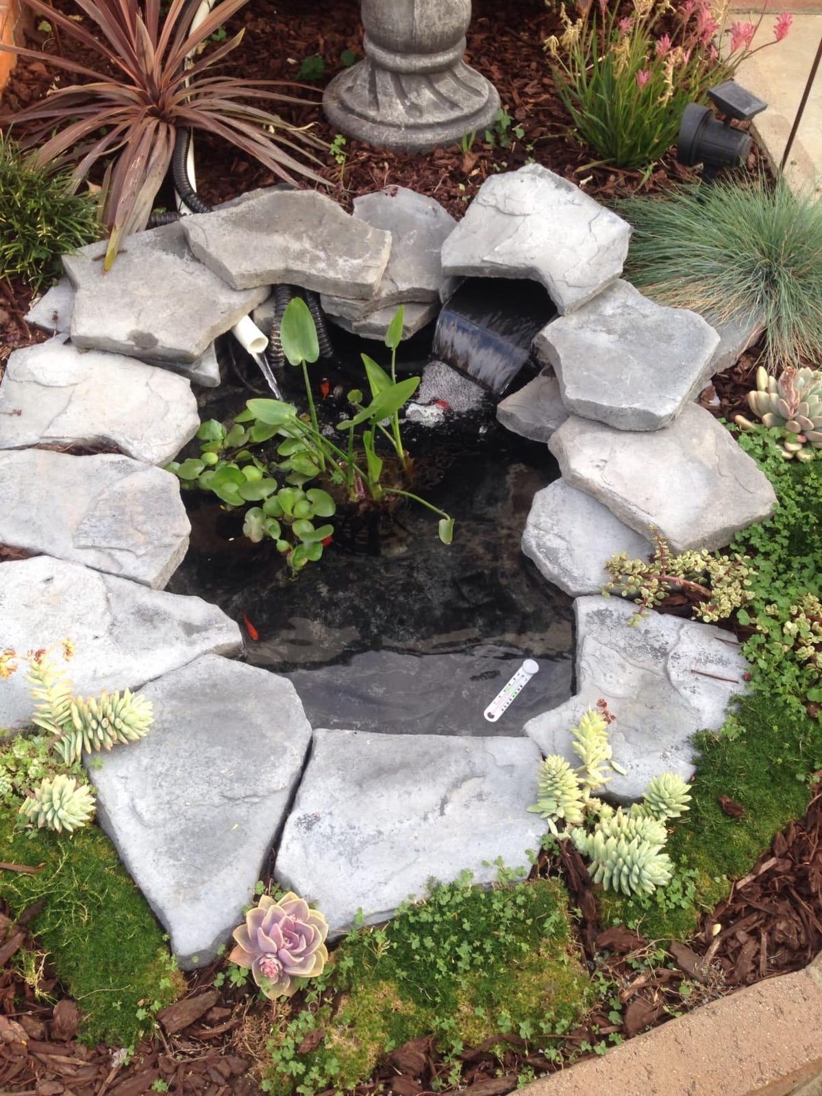TetraPond Clear Choice Biofilter PF-1 for Mechanical & Biological Filtration, Ponds Up To 500 Gal customer photo 2