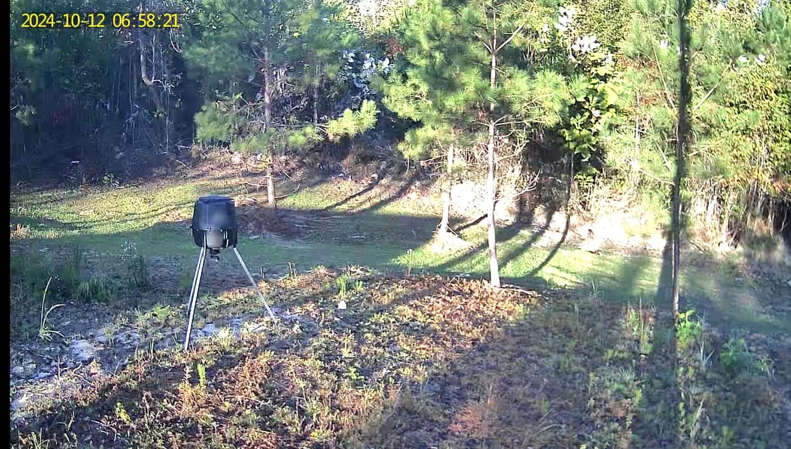 Whitetail Institute No-Plow Deer Food Plot Seed - Hardy, Fast-Growing Blend of Annuals for Areas Difficult to Access with Farming Equipment customer photo 2