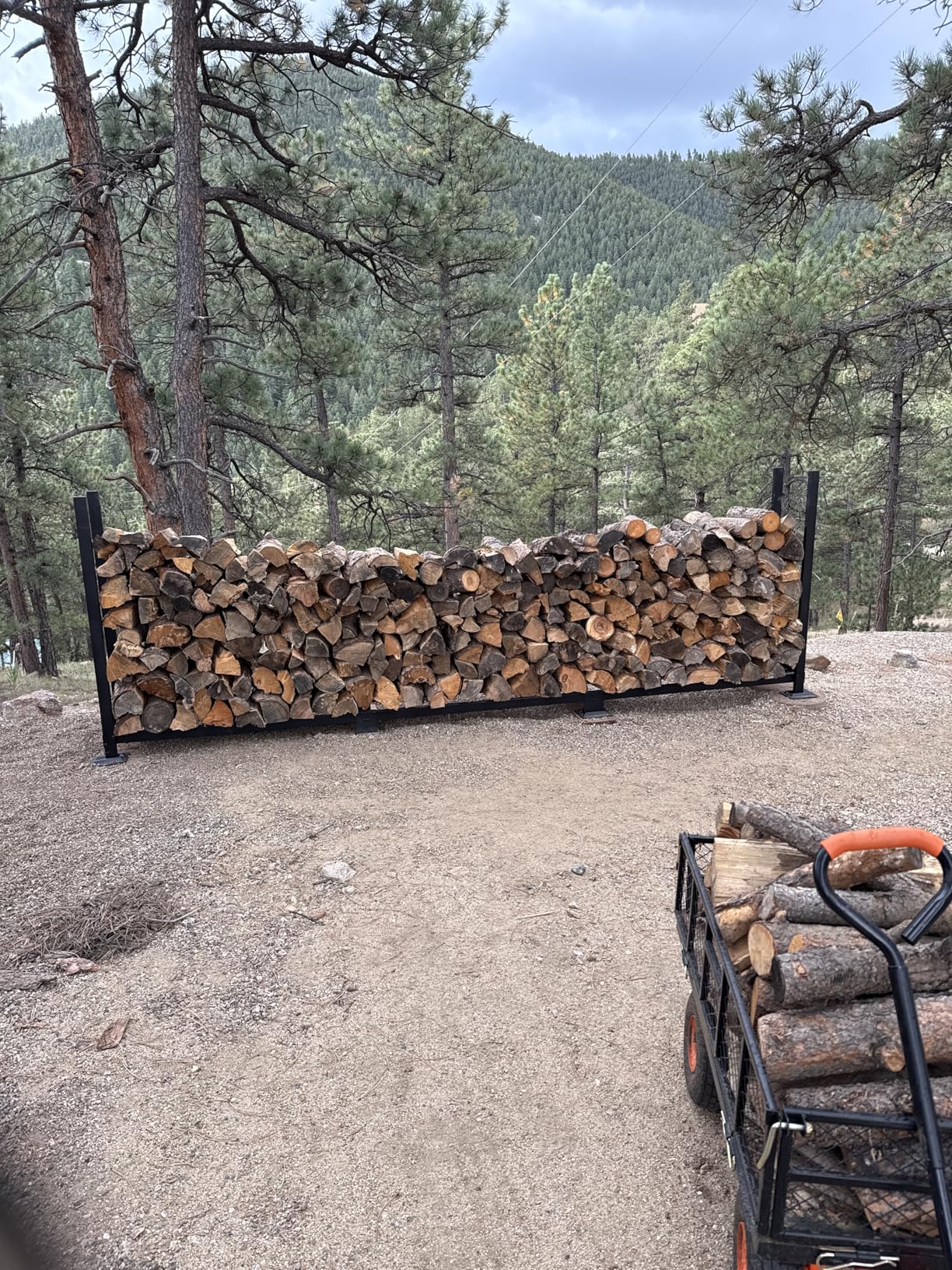 Woodhaven 8-Foot Firewood Rack - American Brand - 1/2 Cord Raised Lumber Storage Rack - Keeps Wood Dry & Ready - Heavy-Duty Steel, Lifetime Structural Warranty (With Cover) customer photo 1