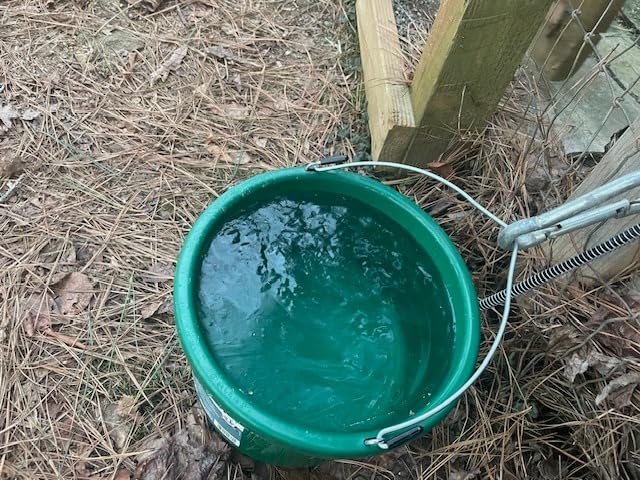 Farm Innovators Heated Water Bucket, 200W Heating Power - 16 Gallon Plastic Bucket with Replaceable Heating Element for Livestock Watering & Feeding customer photo 1