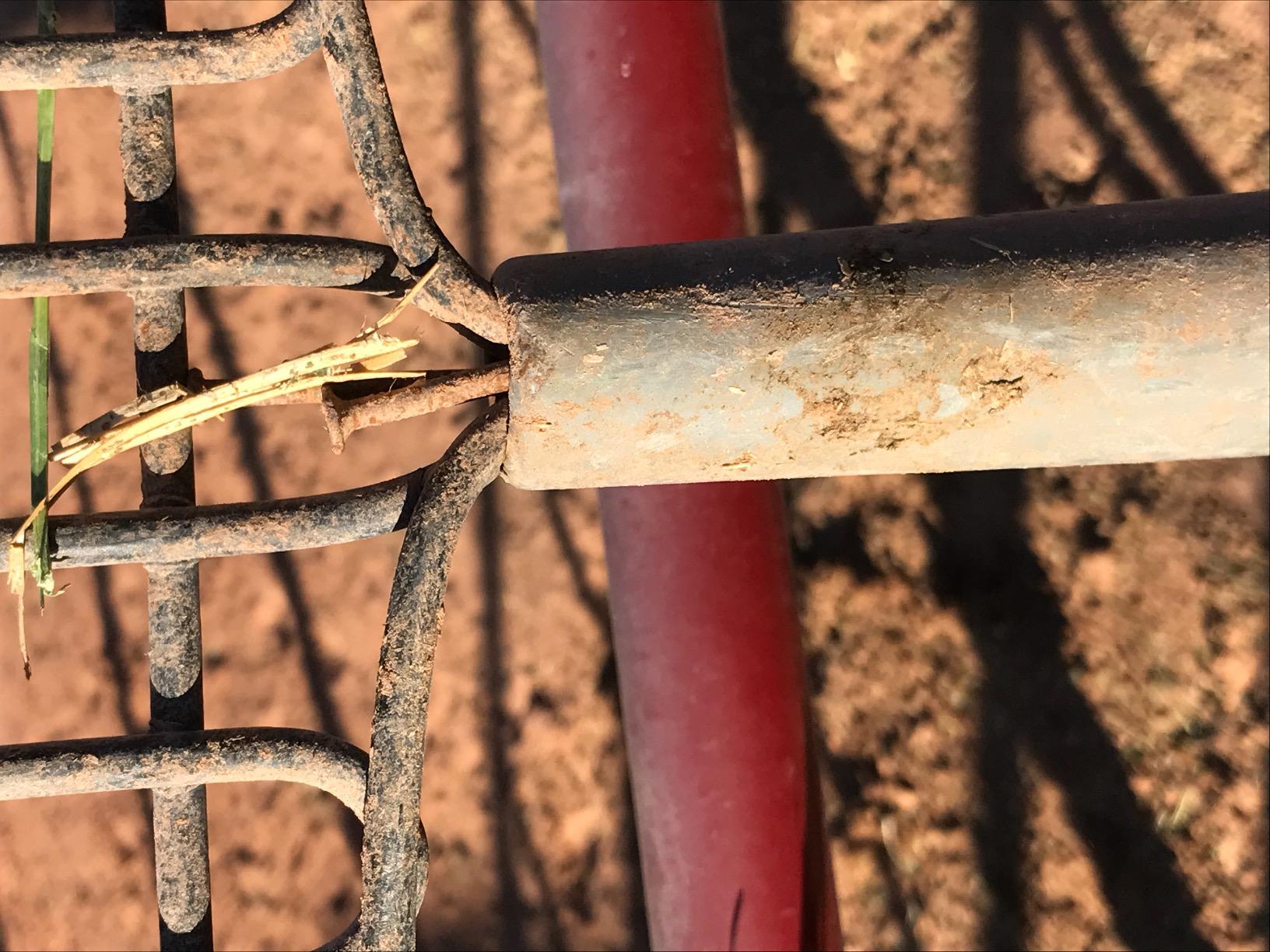 Truper Tru Tough 10-Tine Manure and Bedding Fork, 54-Inch Premium Ash Wood Handle, Forged Steel Head, Heavy-Duty Agricultural & Stable Tool (Model BPJ-10L / 30331) customer photo 1