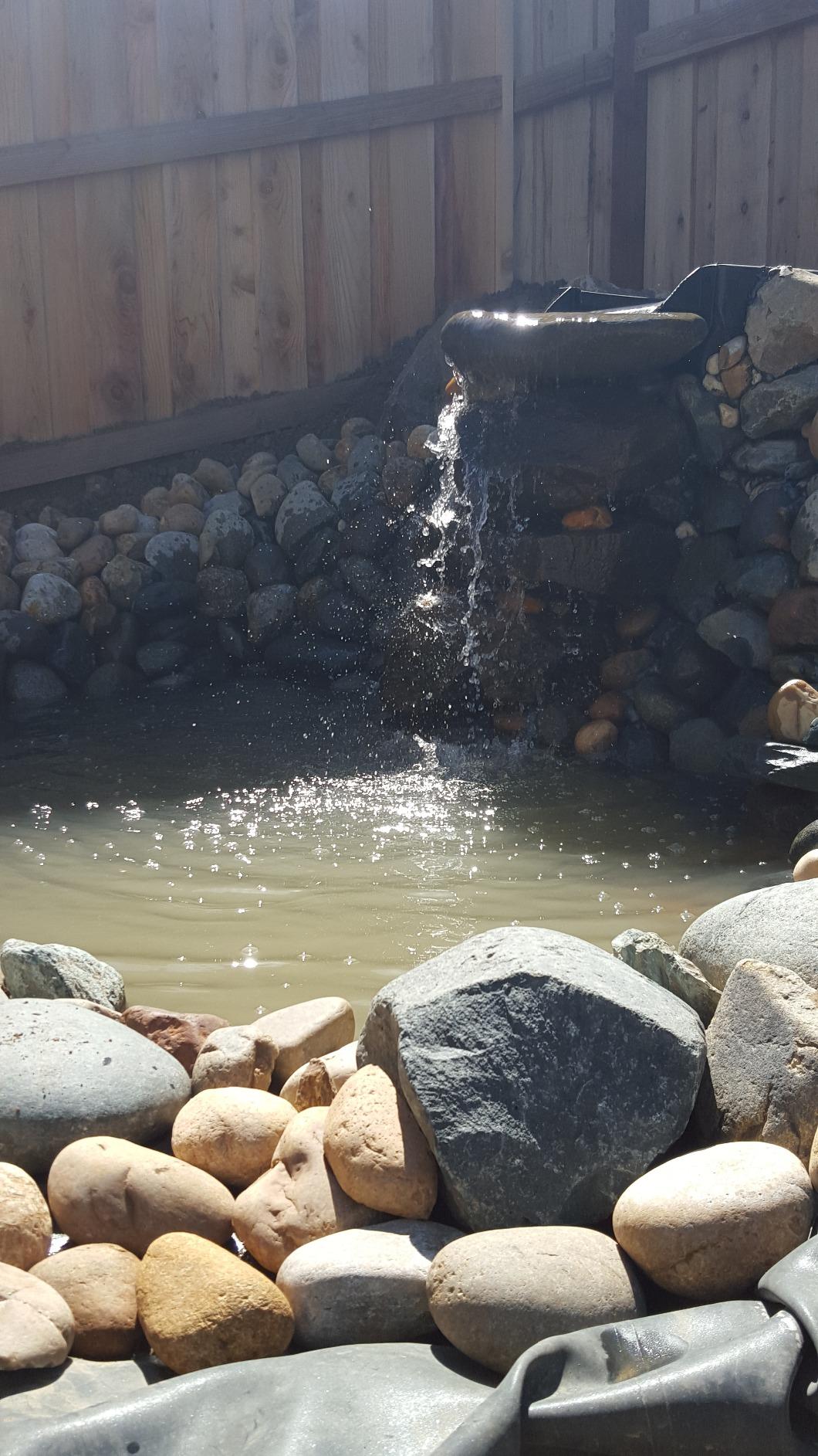 Aquascape DIY Backyard Pond Kit 8 x 11 feet – Complete Water Garden Ecosystem with Pump, Skimmer, and Filter, 99765 customer photo 2