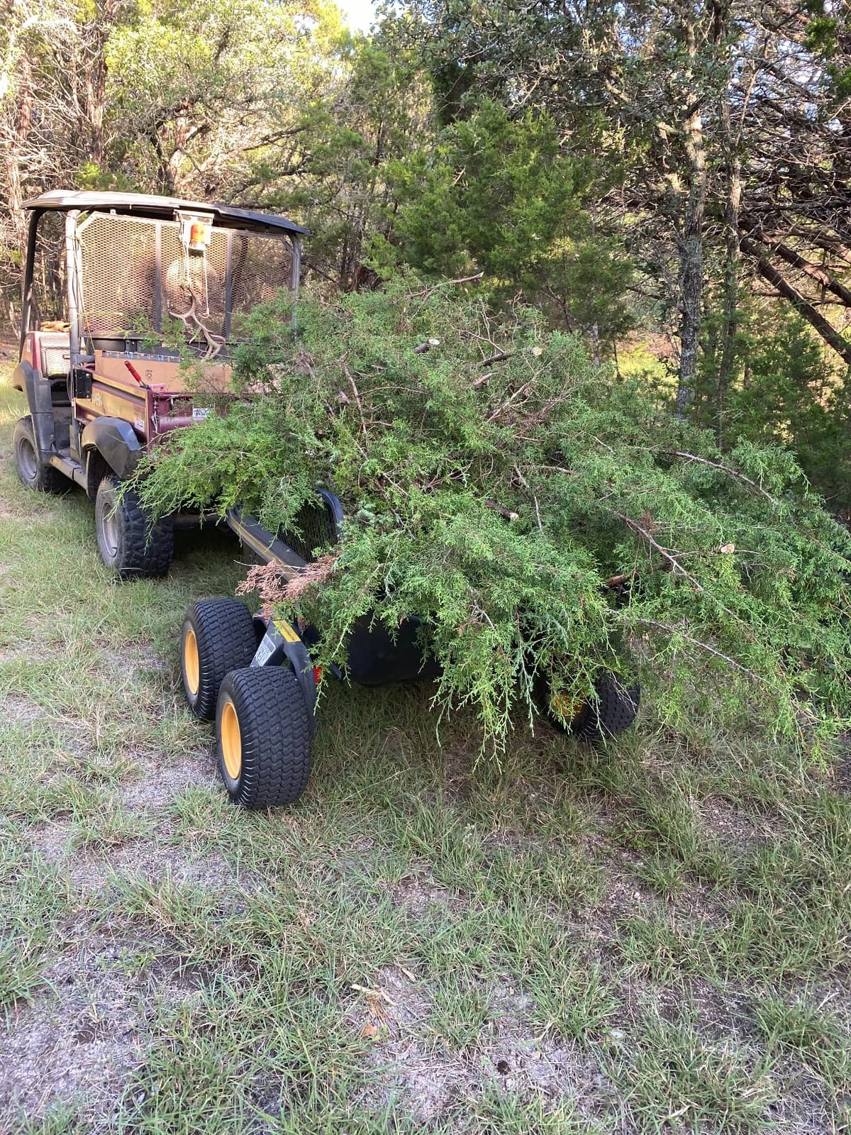 Polar TA1200 Tandem Axle Utility Trailer 1200 lb Capacity, 15 Cubic Foot customer photo 1