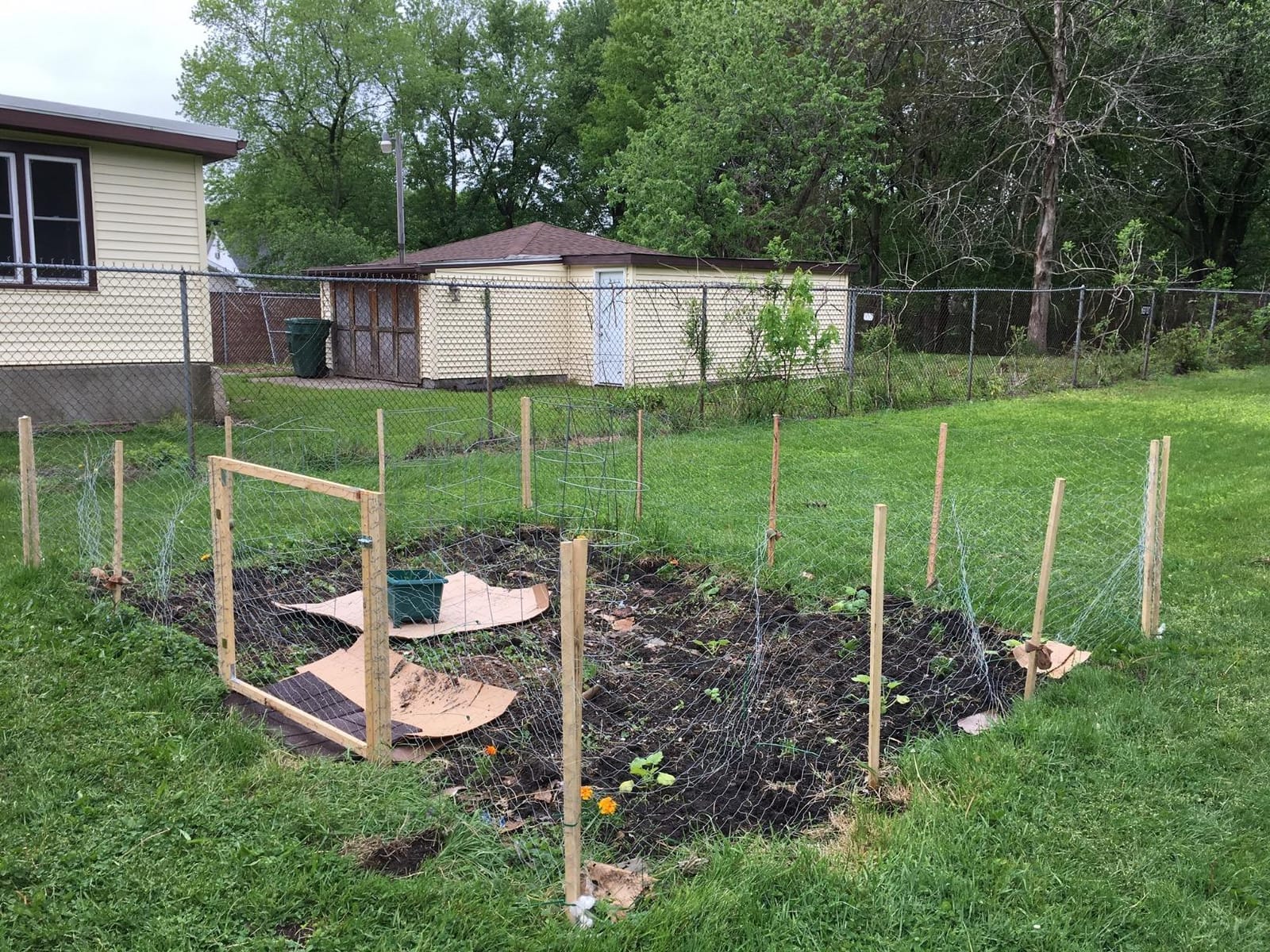 YARDGARD 2 Inch Poultry Netting, Chicken Wire Fence, 20 Gauge Galvanized Steel, 24 Inches x 150 Feet customer photo 1