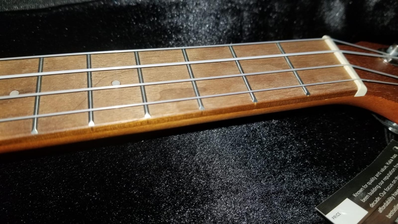 Kala KA-TE Satin Mahogany Tenor Acoustic-Electric Ukulele customer photo 1