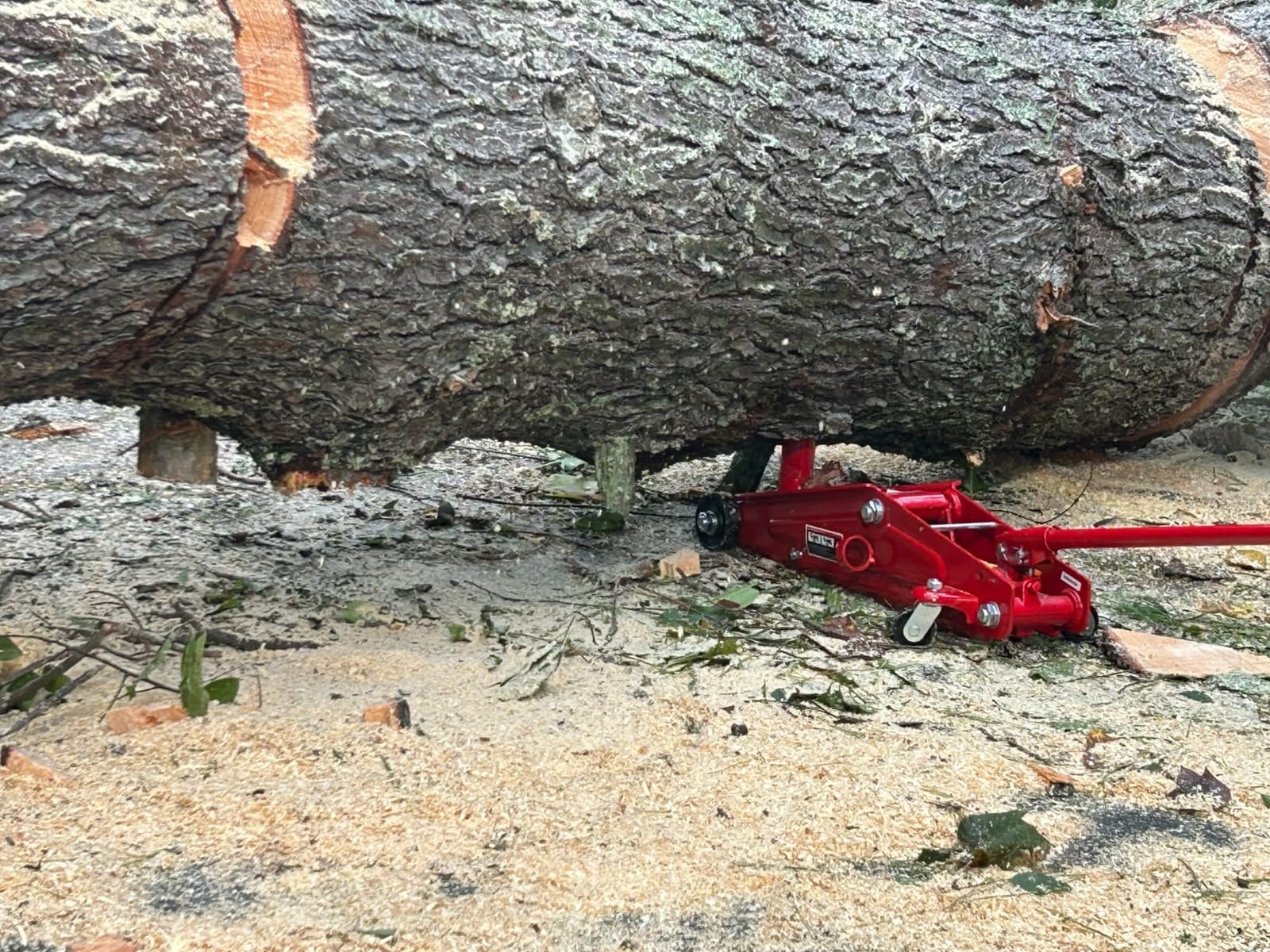 BIG RED T83006 Torin Hydraulic Trolley Service/Floor Jack with Extra Saddle (Fits: SUVs and Extended Height Trucks): 3 Ton (6,000 lb) Capacity, Red customer photo 2