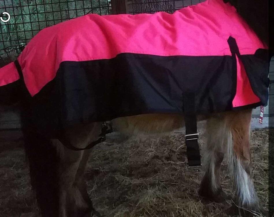Tough 1 600D Waterproof Poly Miniature Turnout Blanket customer photo 2