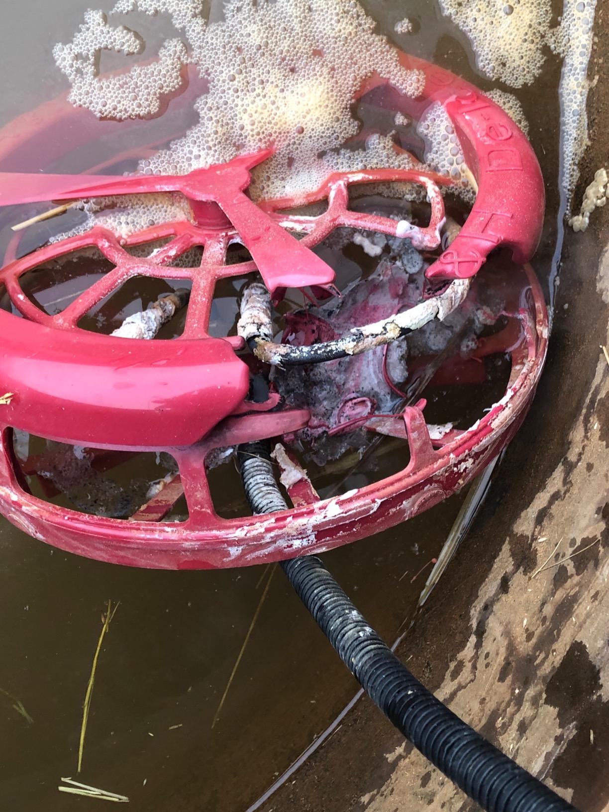 K&H Stock Tank Deicer, Pond Heater, 1000W, Safety Listed, Red | Floating or Submersible Stock Tank Heater; Pond & Water Trough Deicer for Horses, Cattle & Livestock; Cage & Cord Clip customer photo 2