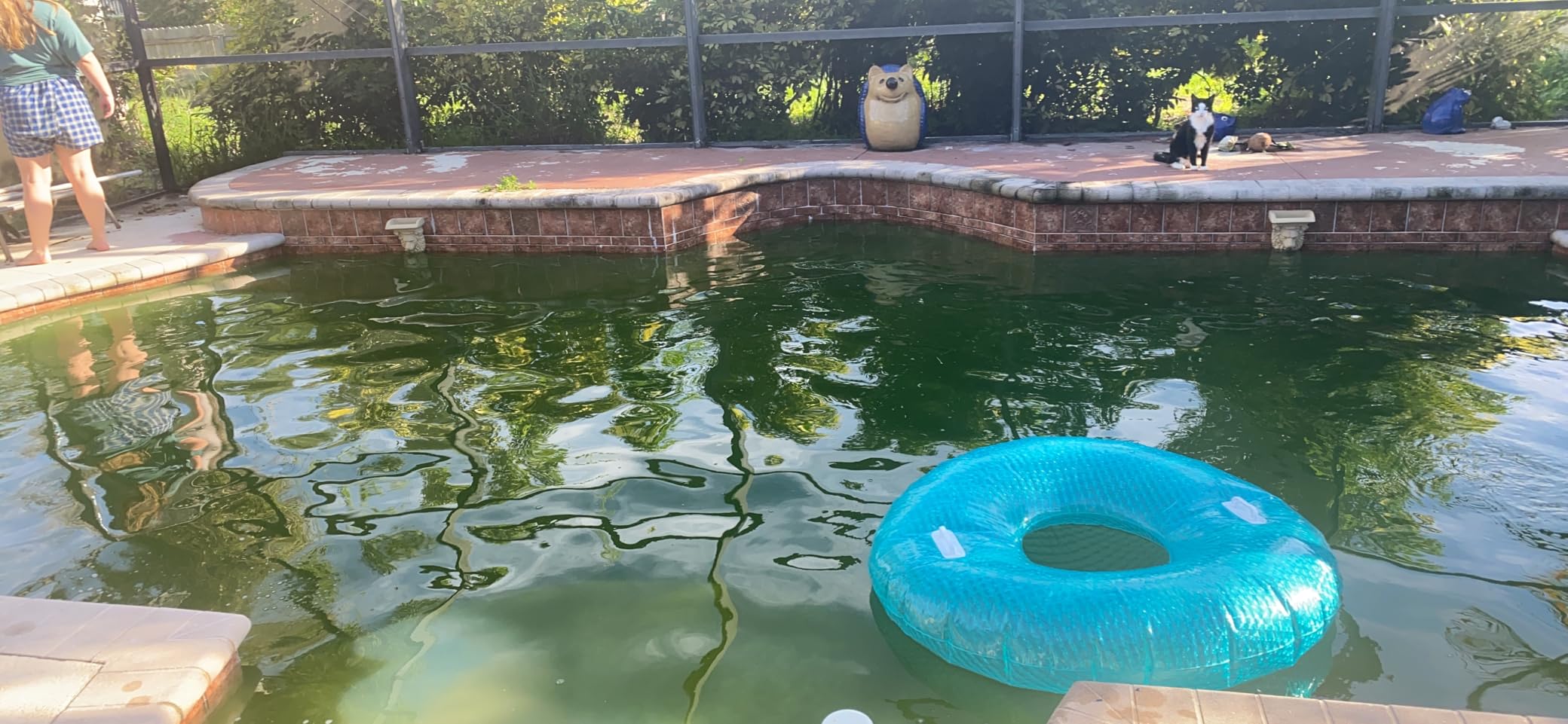 In The Swim Sodium Dichlor Chlorine Shock Granules - 25 Pounds | For Sanitizing Swimming Pools - Fast Dissolving, pH Balanced Sanitizer - 56% Available Chlorine, 99% Sodium-Dichlor customer photo 2