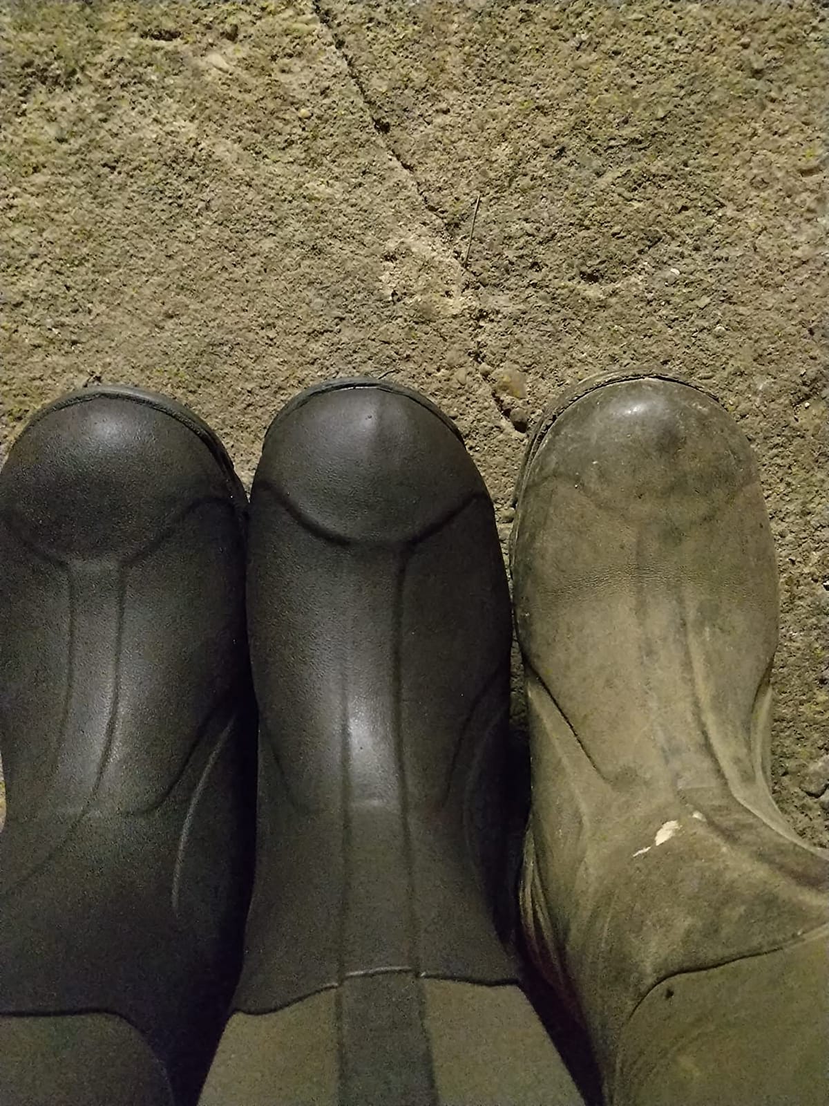 MUCK Men's Arctic Pro-u Industrial Boots customer photo 1
