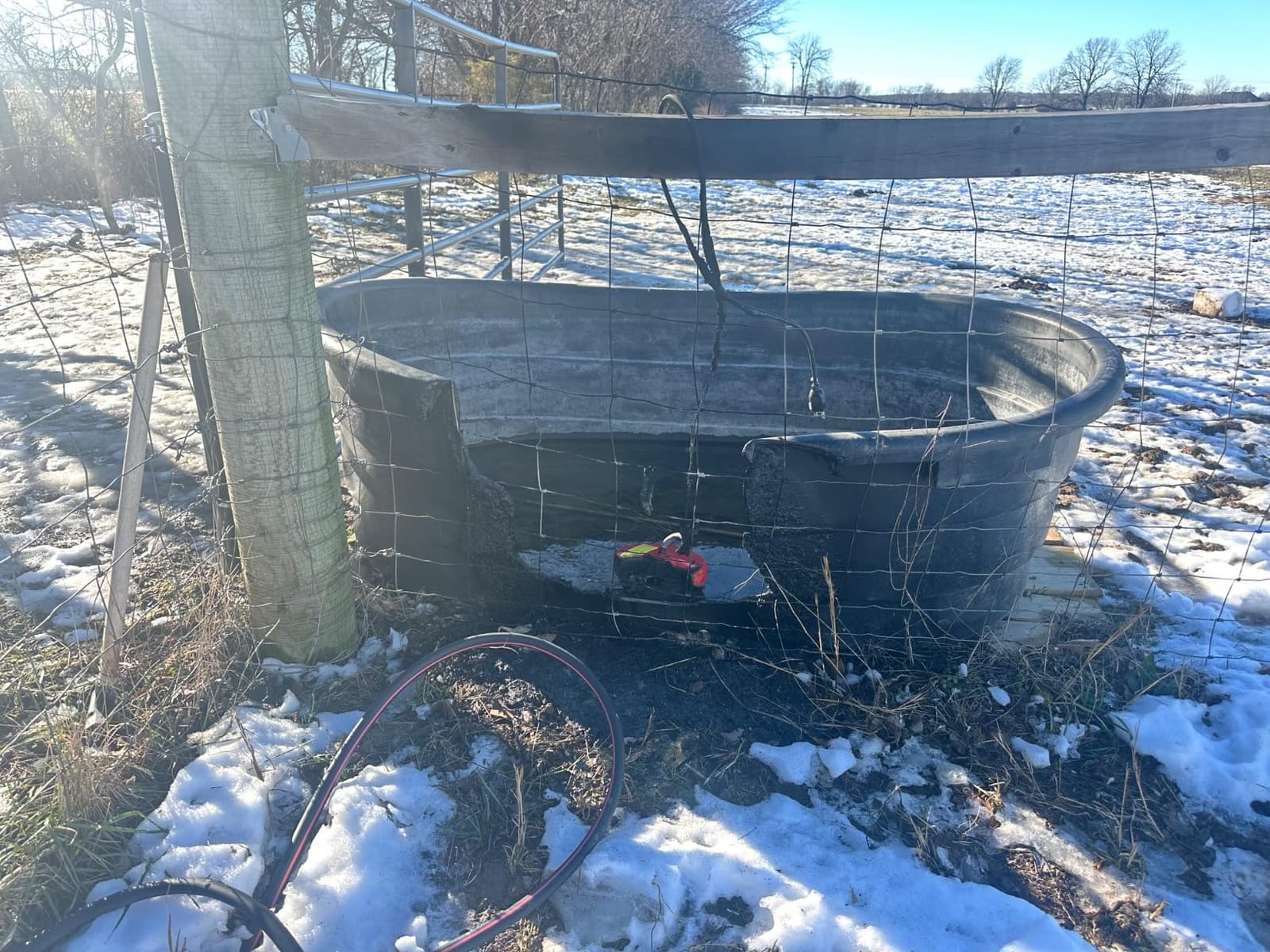 Miller Floating 1500 Watt Livestock Drinking Water, 100 to 300 Gallon Stock Tank Heater Deicer with 6 Foot Anti Rub Heating Element Protector Cable customer photo 1