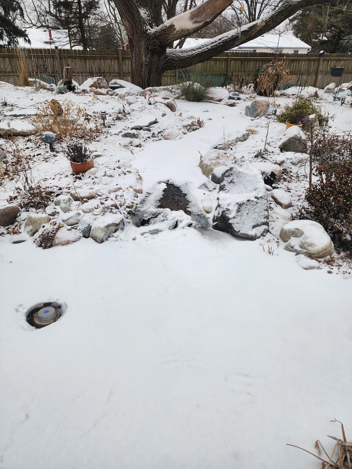 Aquascape Pond Heater Winter De-icer for Pond Water Feature Garden, 300 Watt 22' cord, 39000 customer photo 1