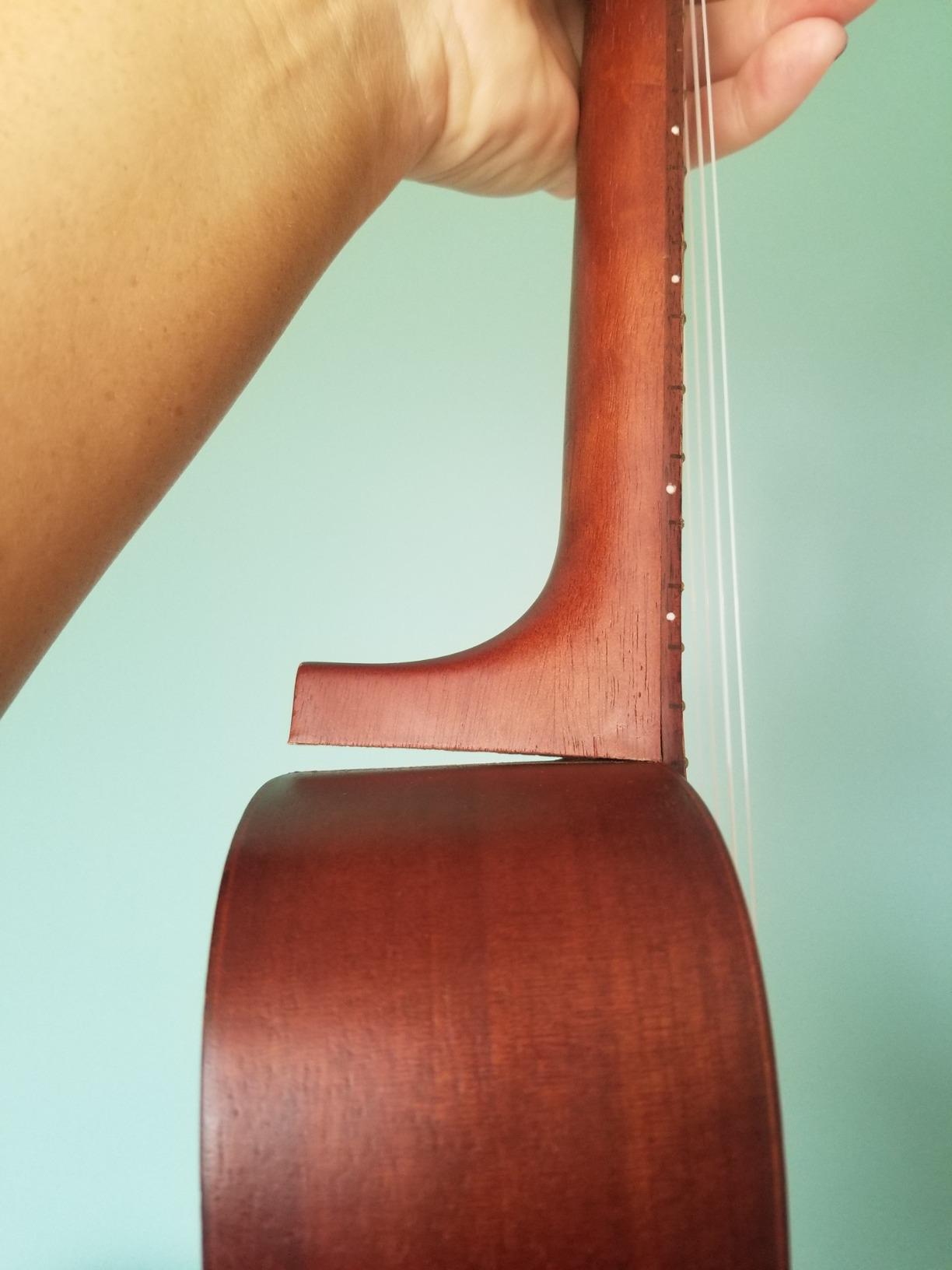 Kala MK-C Makala Concert Ukulele Bundle with Gig Bag, Tuner, Strap, Aquila Strings, Online Lessons, Austin Bazaar Instructional DVD, and Polishing Cloth customer photo 2