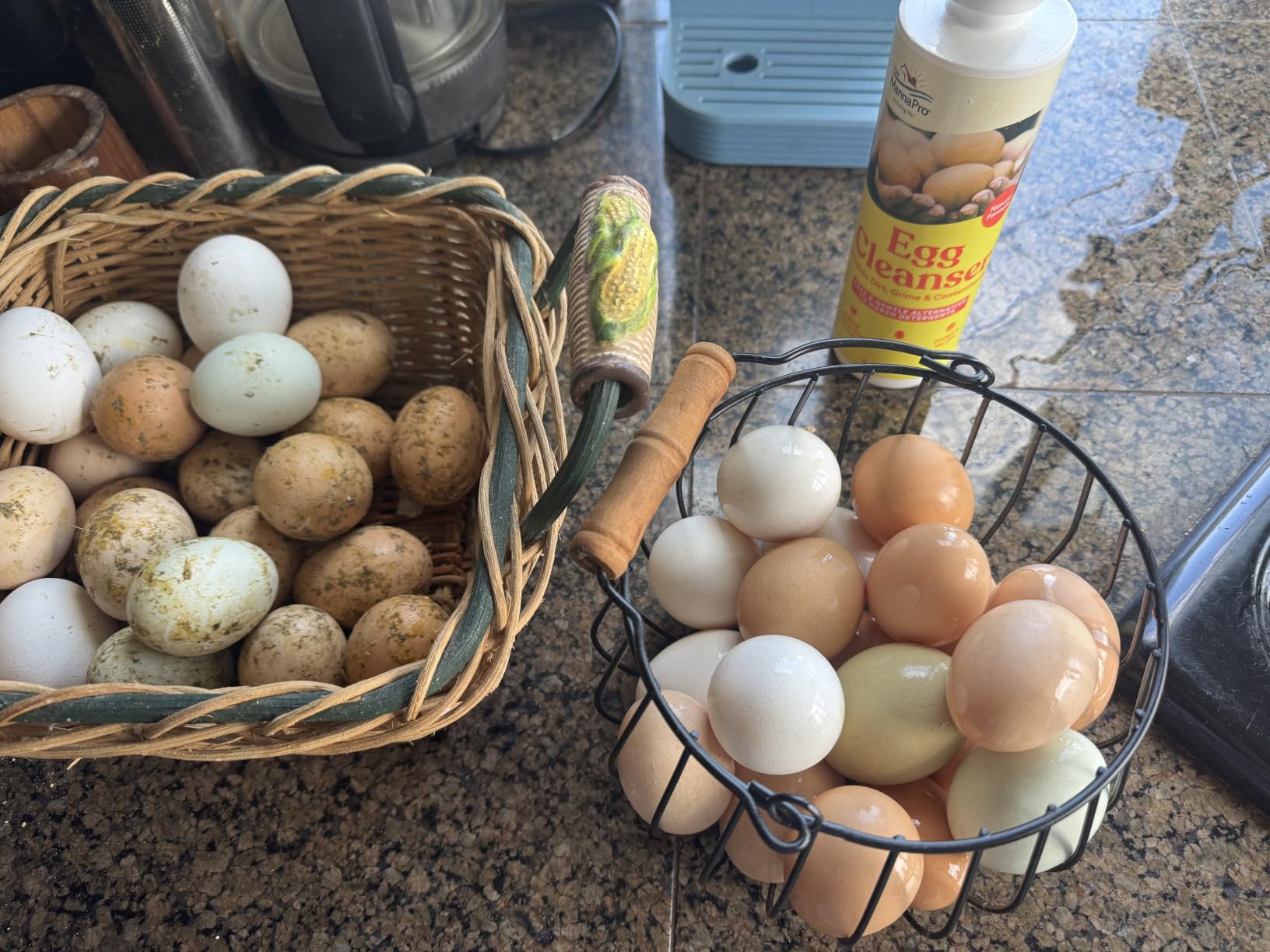 Manna Pro Egg Cleanser Natural Enzyme Wash for Fresh Eggs, 16 oz | Natural Enzyme Egg Wash, Cleans Fresh Eggs, Gentle Formula for Backyard Flocks, Ready-to-Use 16 oz Bottle customer photo 1