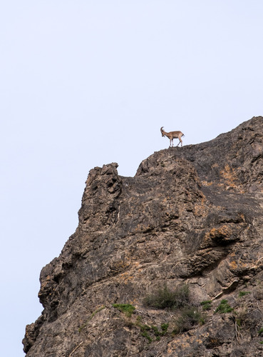 Fujinon XF55-200mmF3.5-4.8 R LM OIS Lens customer photo 2